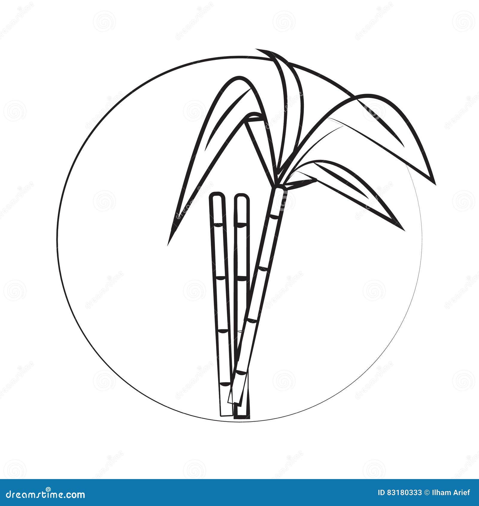 1300 Sugarcane Plants Drawings Illustrations RoyaltyFree Vector  Graphics  Clip Art  iStock