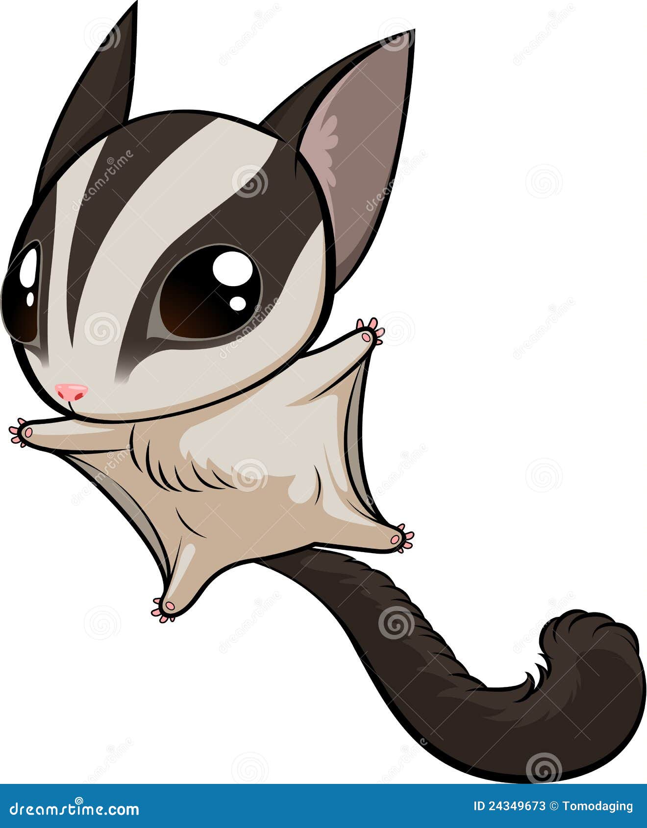 sugar glider