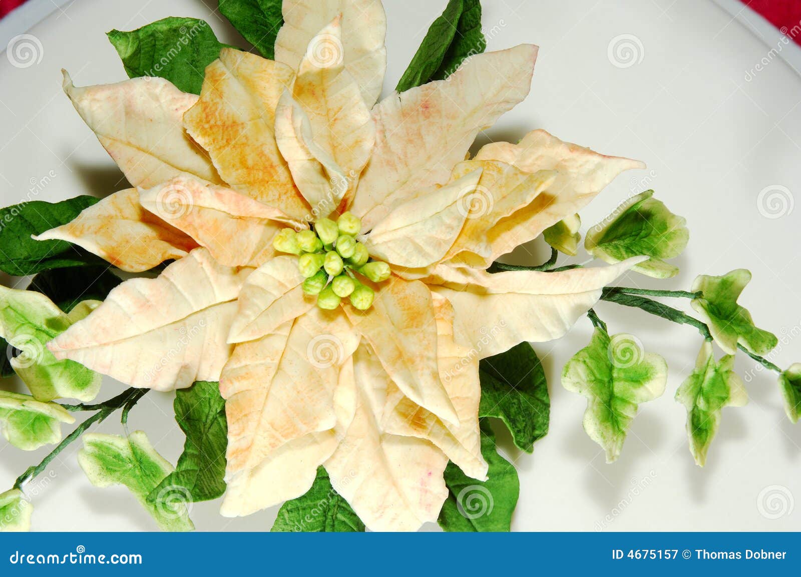 Sugar icing flowers stock image. Image of bake, edible 4675157