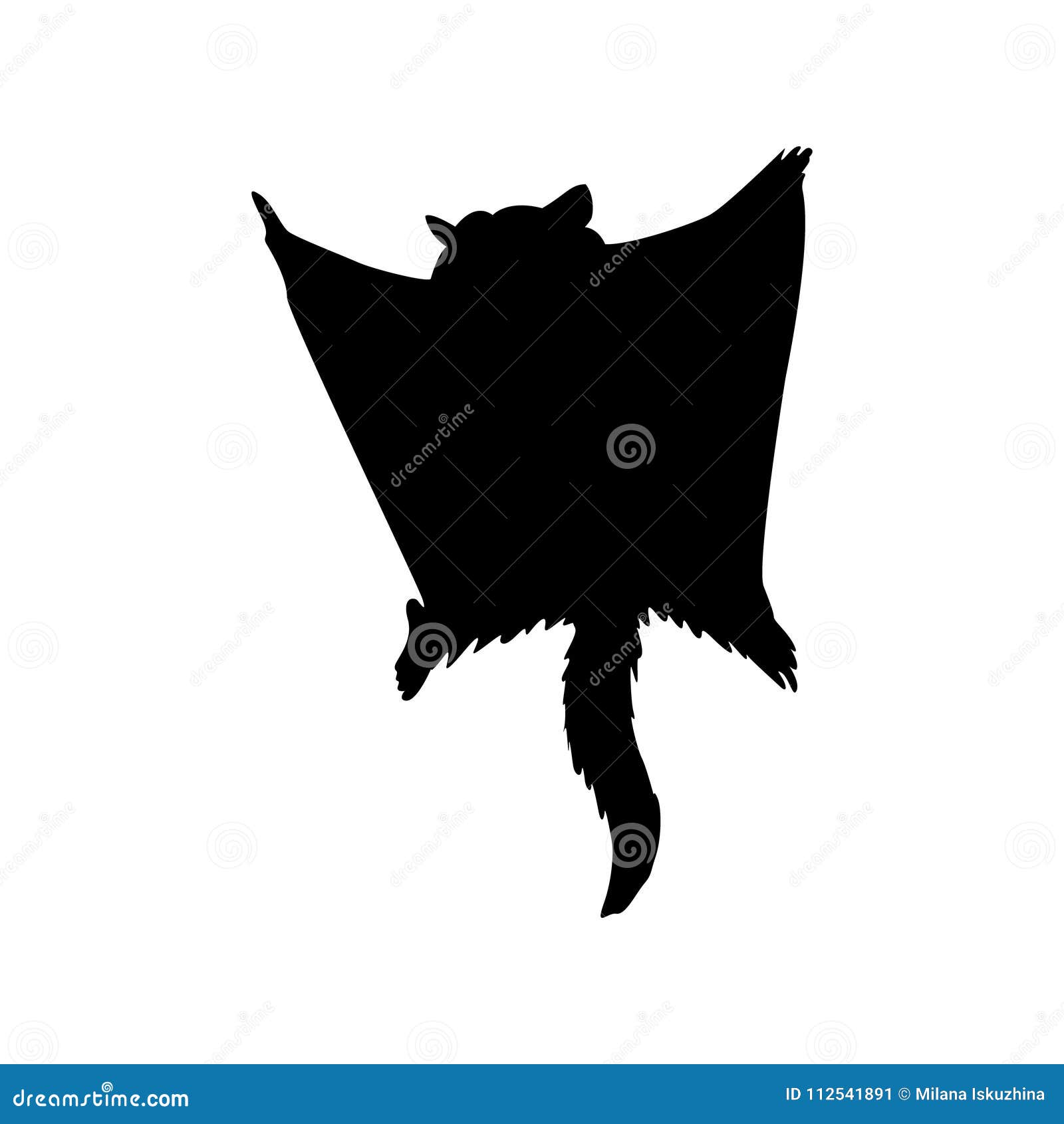 Sugar marsupial fly stock vector. Illustration of black - 112541891 Sugar marsupial fly stock vector. Illustration of black - 112541891