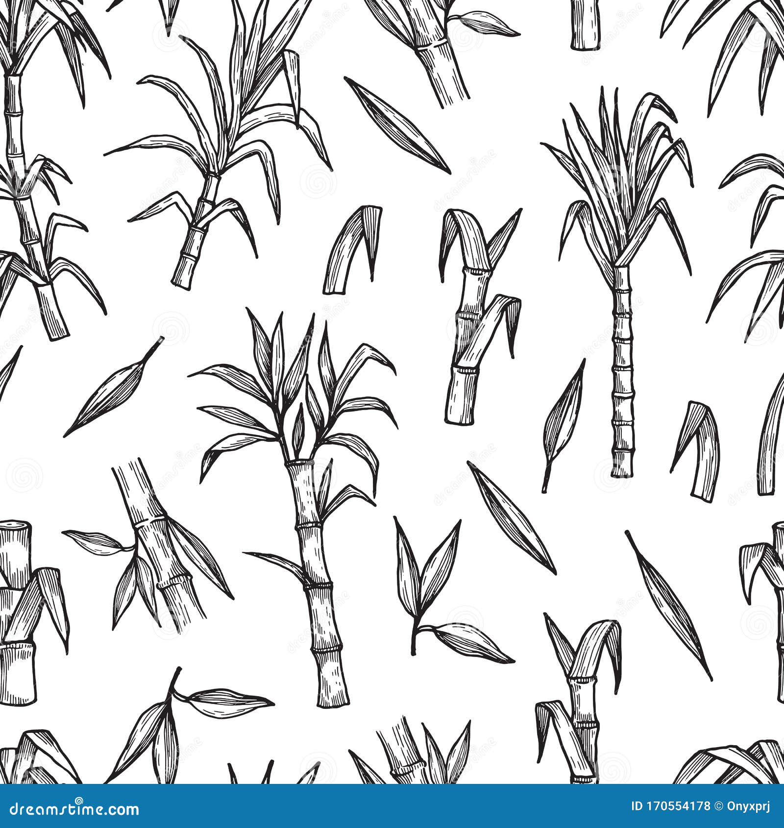 sugar plant seamless pattern. hand drawn sugarcane  background. agriculture production sketch texture