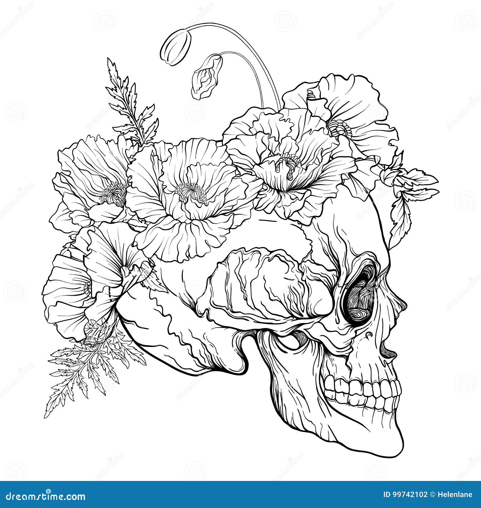 sugar skull and flowers drawing