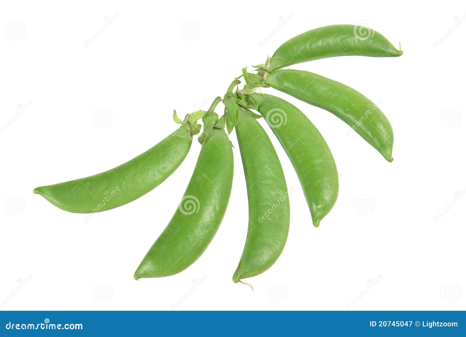 Sugar Snap Peas stock image. Image of unshelled, fiber 20745047