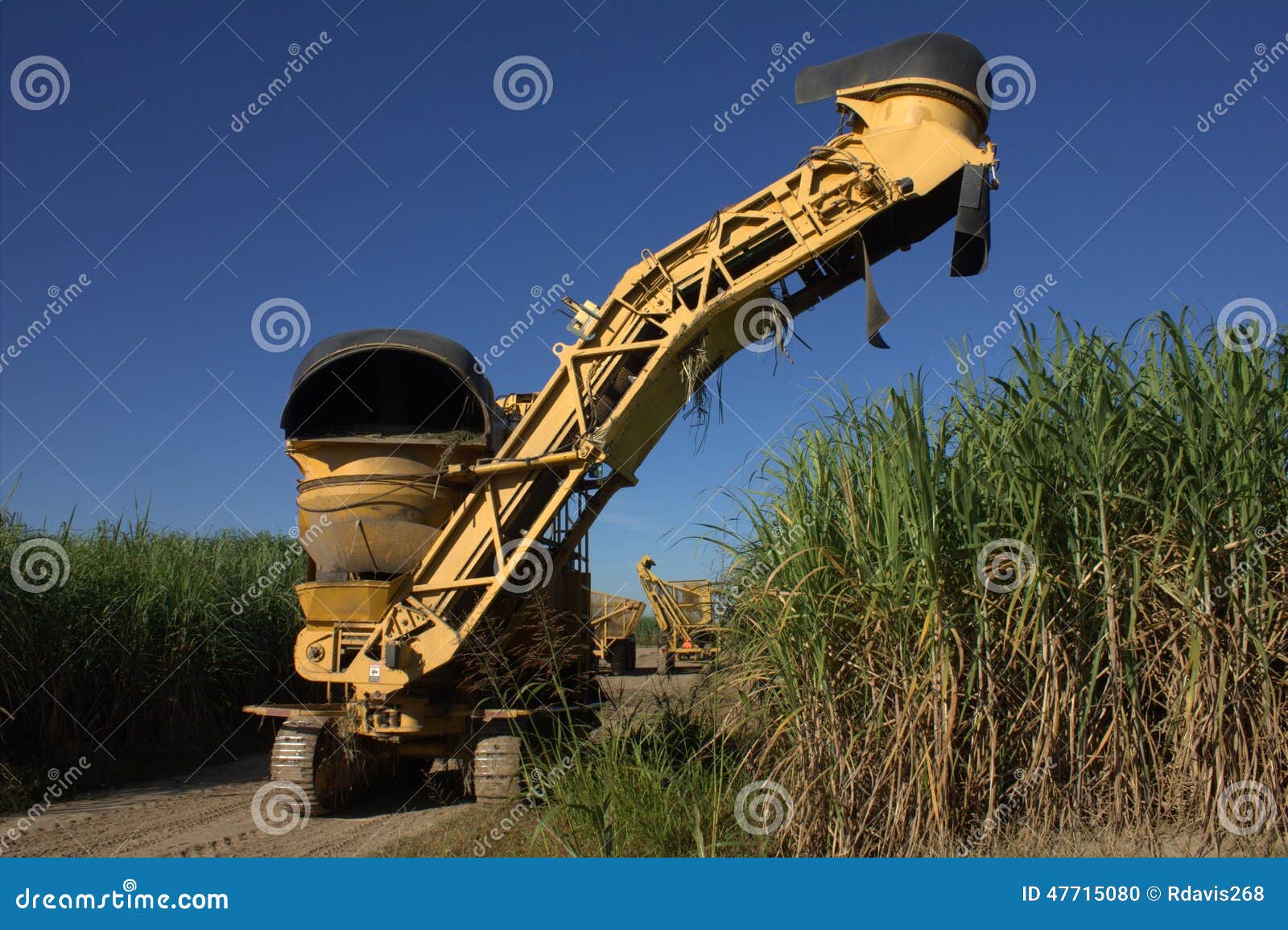 Sugarcane Harvester Sugarcane Cutter stock photo Image of chopper blue Sugarcane Harvester Sugarcane Cutter stock photo Image of chopper blue