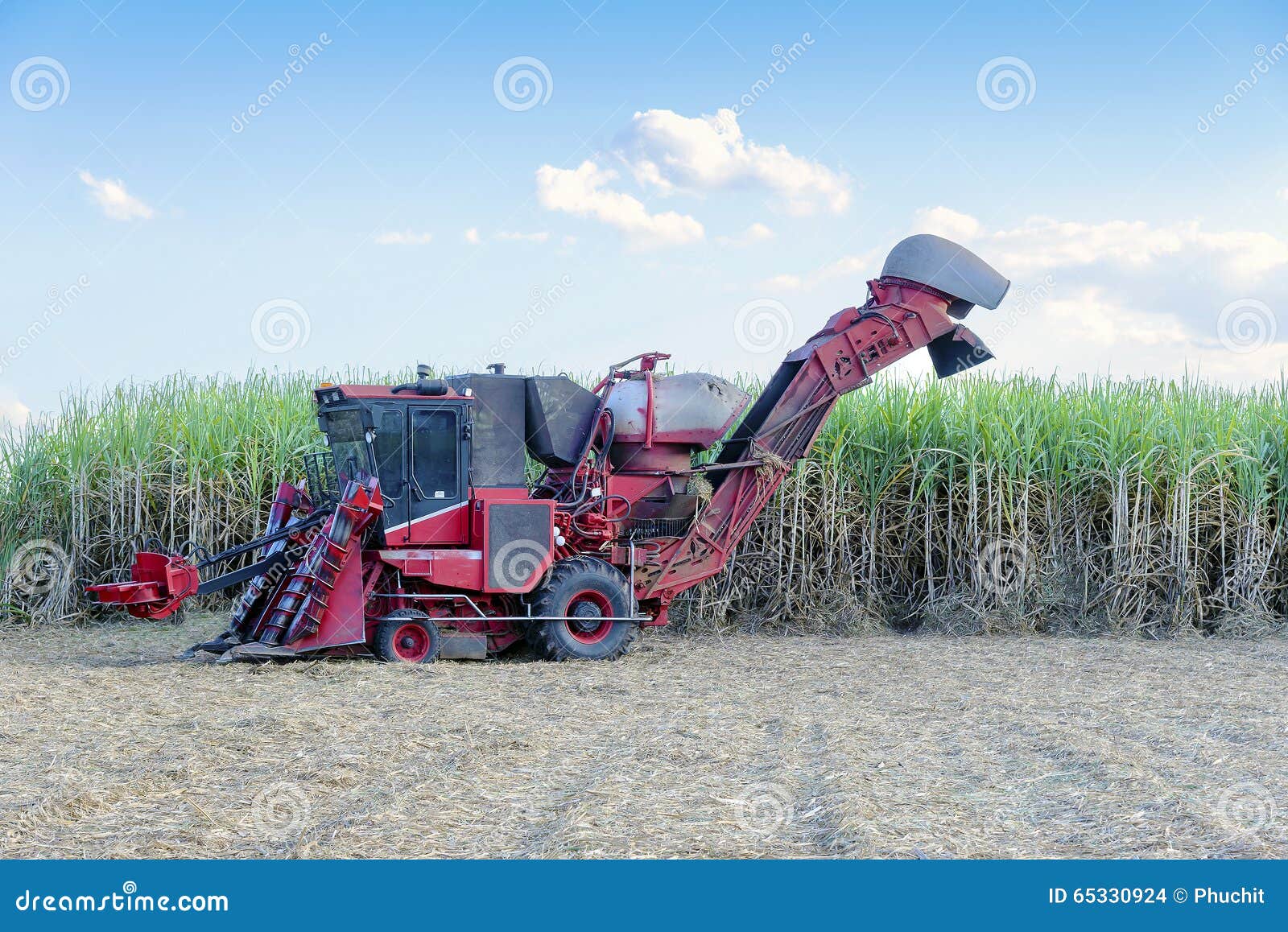 automatic sugarcane farm automatic sugarcane farm