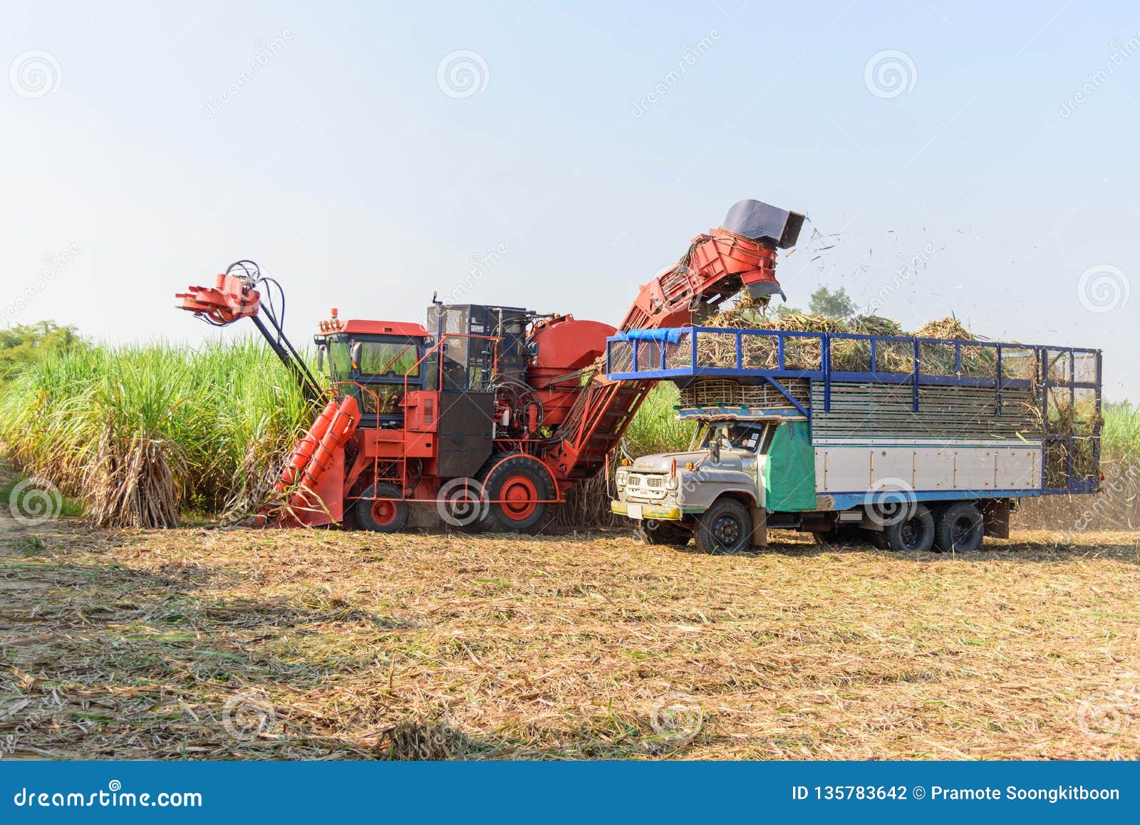 Sugarcane Harvester in Farm Editorial Photography Image of sugarcane