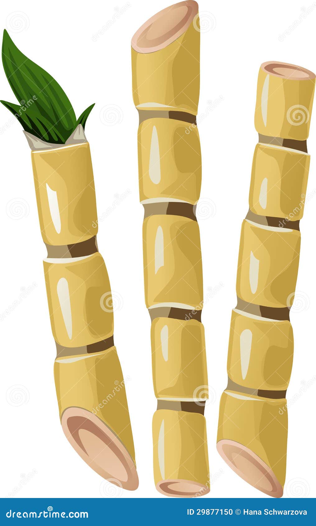 Sugarcane Cartoons, Illustrations & Vector Stock Images - 702 Pictures