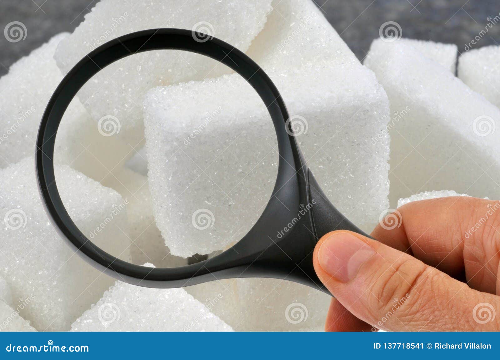 Suikerobservatie met een vergrootglas. Het onderzoeken van suikerkubussen met een vergrootglas in close-up