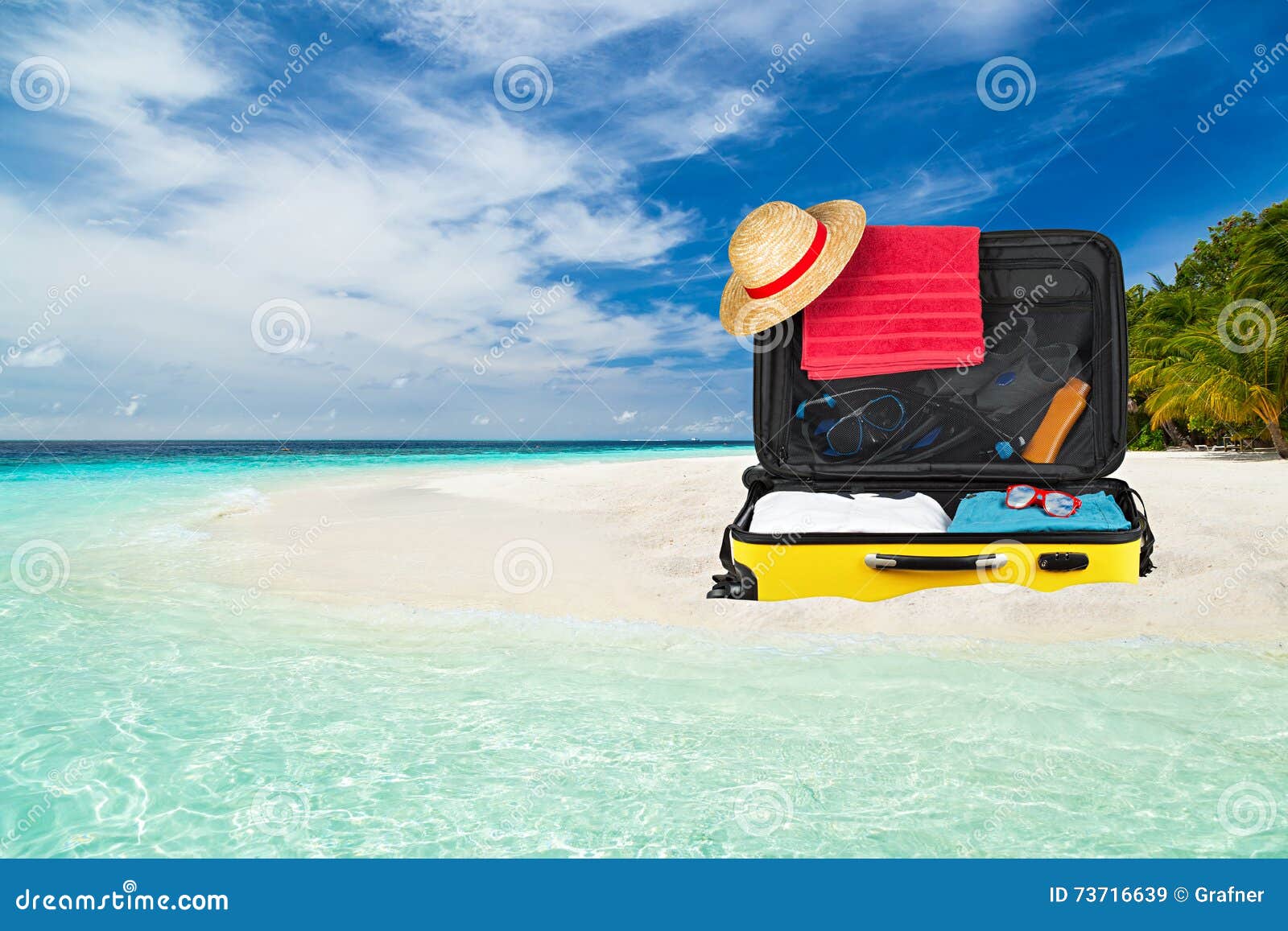 Suitcase beach stock image. Image of concept, dive, case 73716639