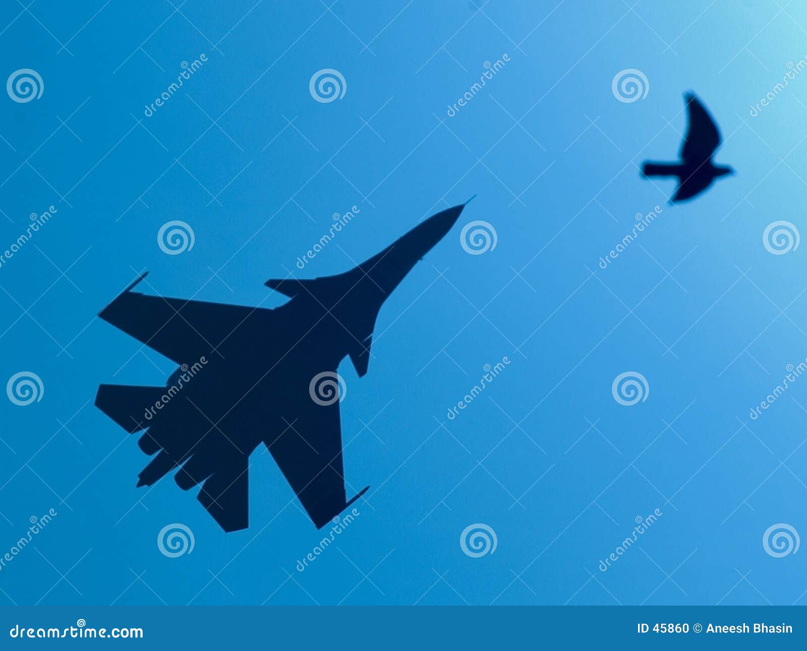 Sukhoi 30 stock photo. Image of fighter, force, aircraft - 45860