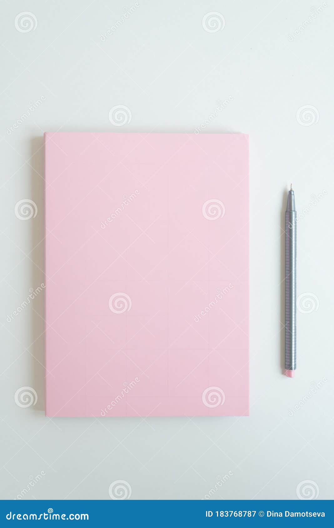 Sul Tavolo C'è Un Diario Segreto Di Una Ragazza. La Copertina Del Notebook  è Di Colore Rosa Delicato. Accanto a Essa C'è Una Penna Immagine Stock -  Immagine di segreto, colore: 183768787