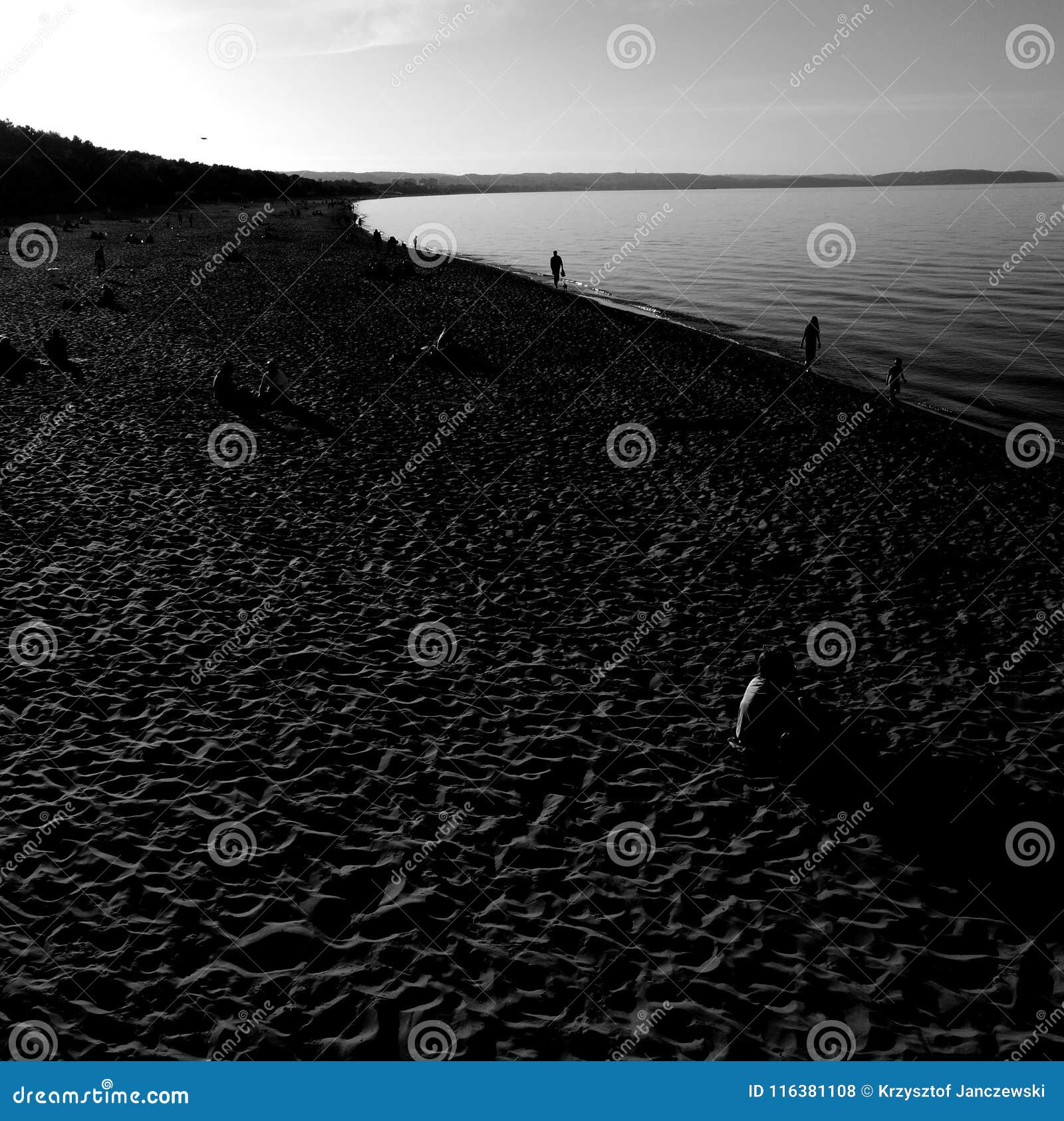 Sulla Spiaggia Sguardo Artistico In Bianco E Nero Fotografia Stock Immagine Di Artistico Bianco
