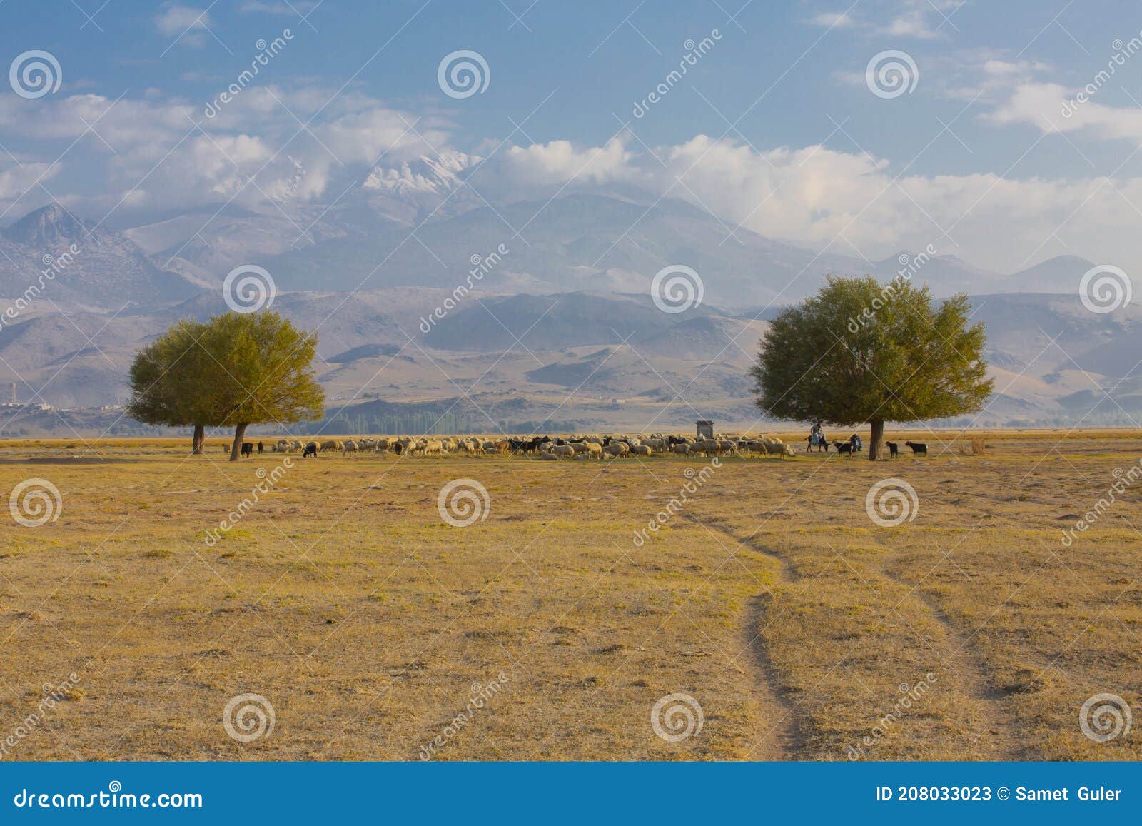 sultan marshes protection area