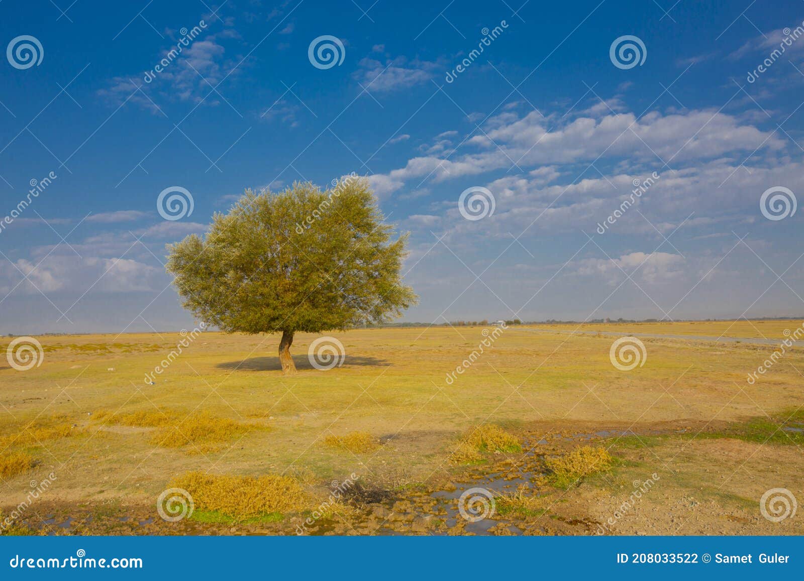 sultan marshes protection area