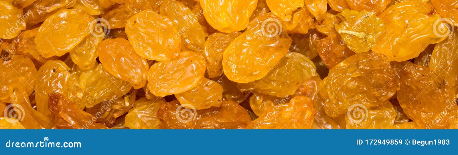 Sultana.Dried Grapes.Seedless Raisins from Light Grapes Stock Image