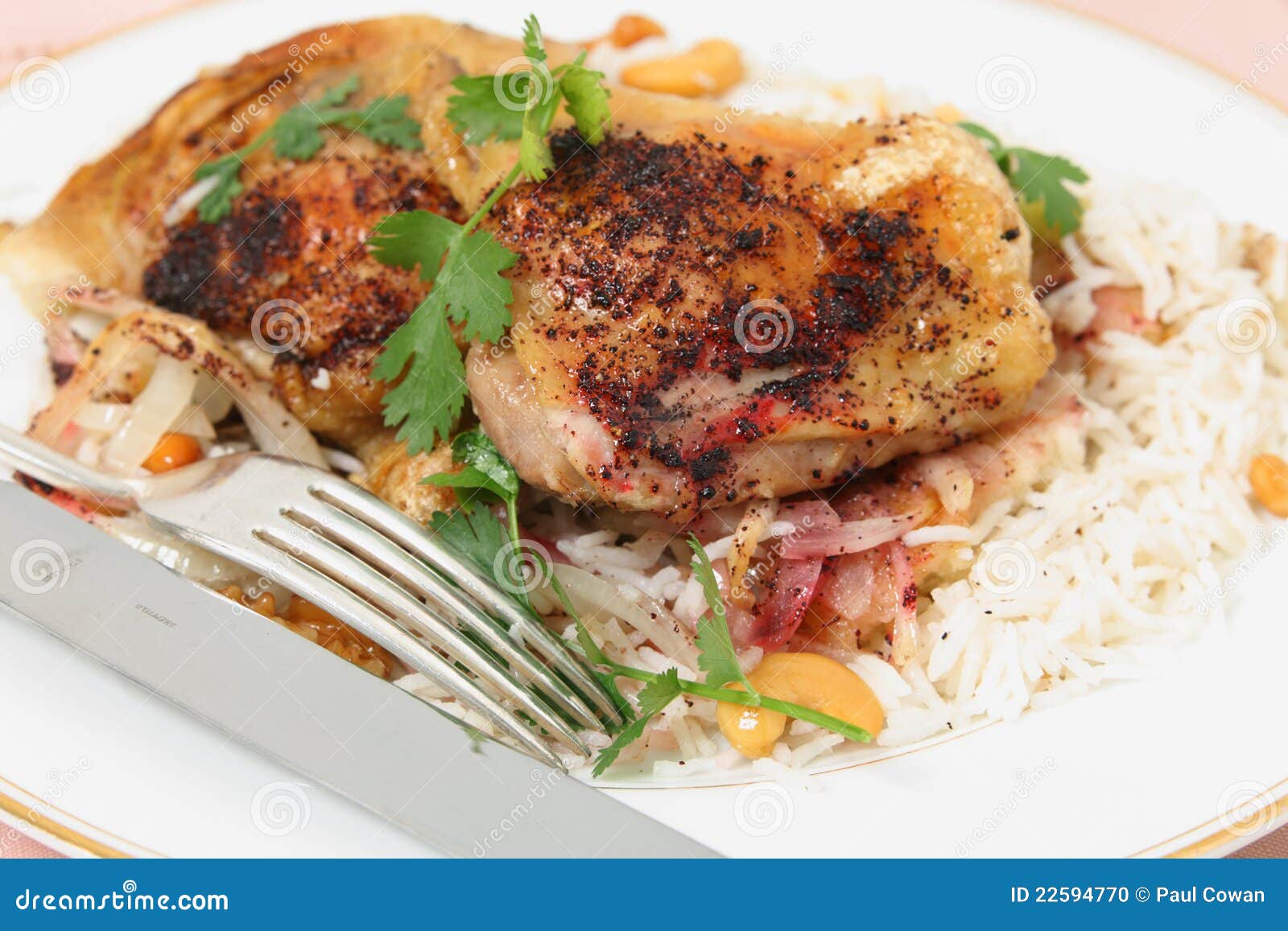 Sumac Chicken and Cashew Rice Meal Stock Photo Image of onion