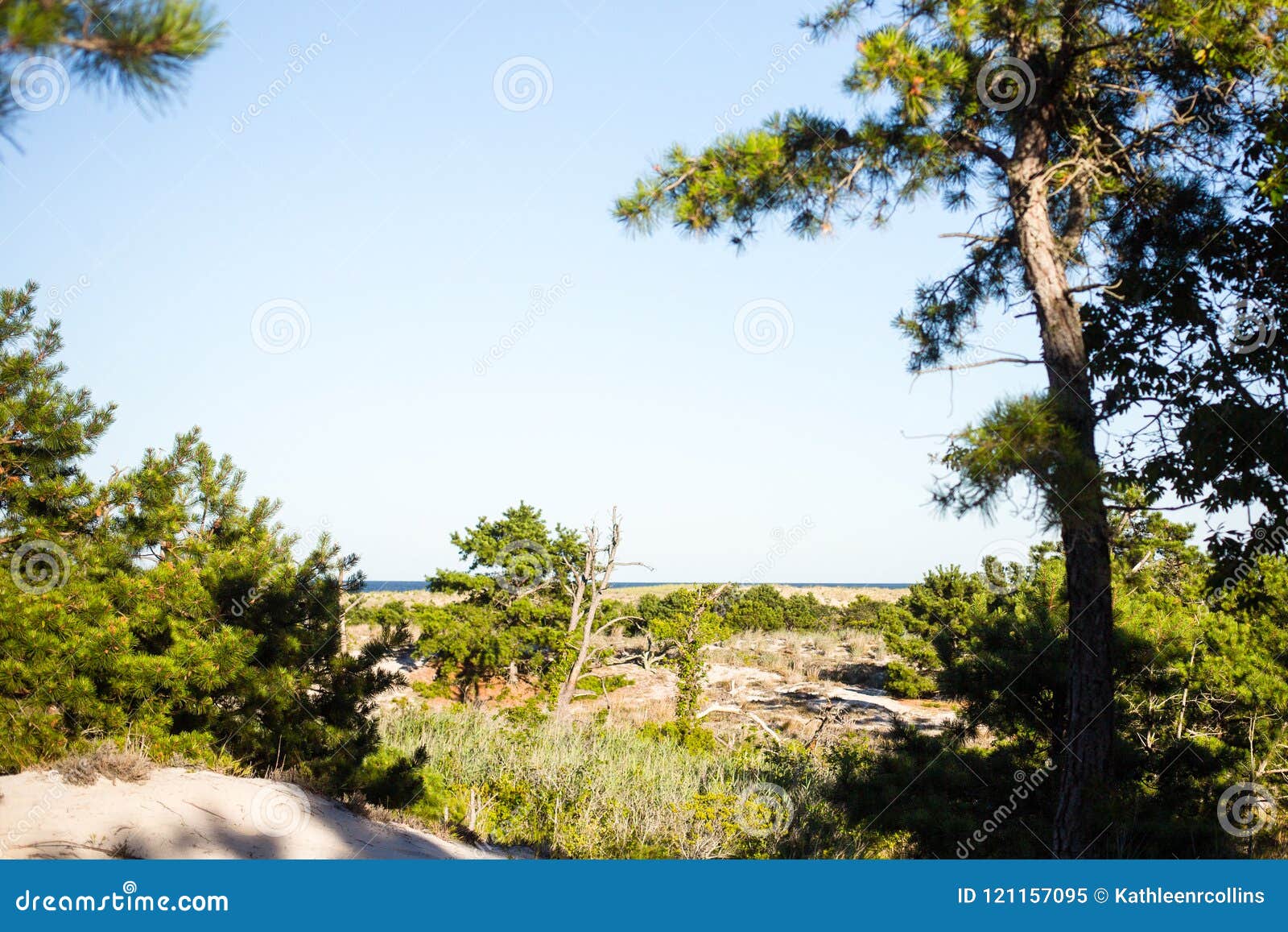 Atlantic Ocean east coast stock image. Image of afternoon - 121157095