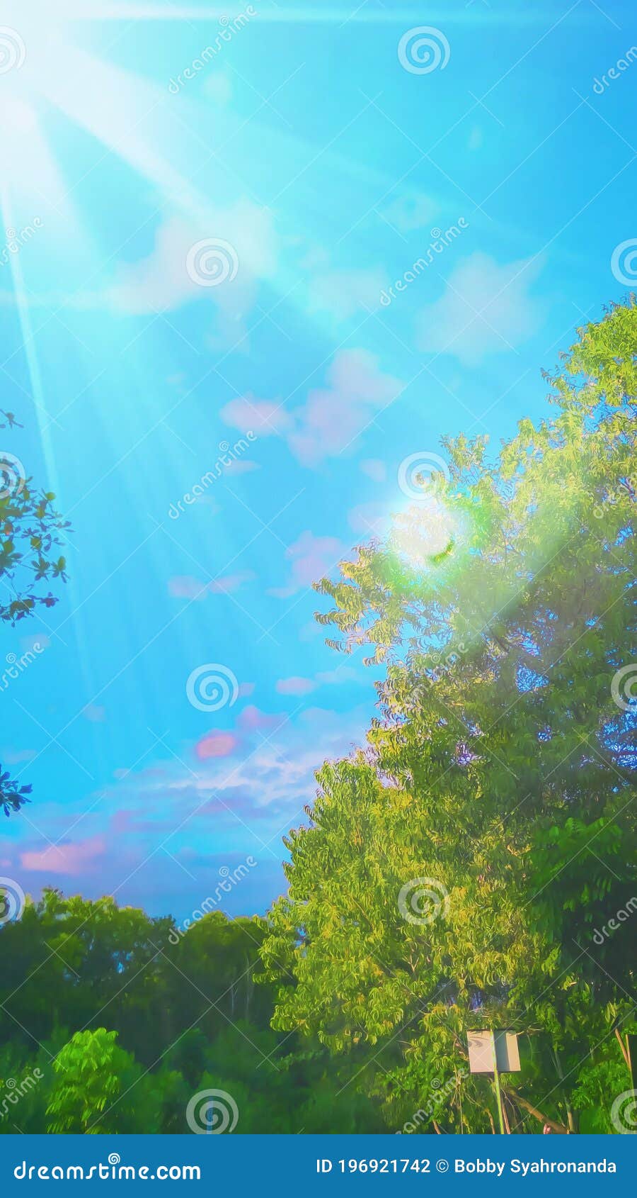 Summer Background in Cartoon or Anime Style Art Stock Photo - Image of  landscape, natural: 196921742