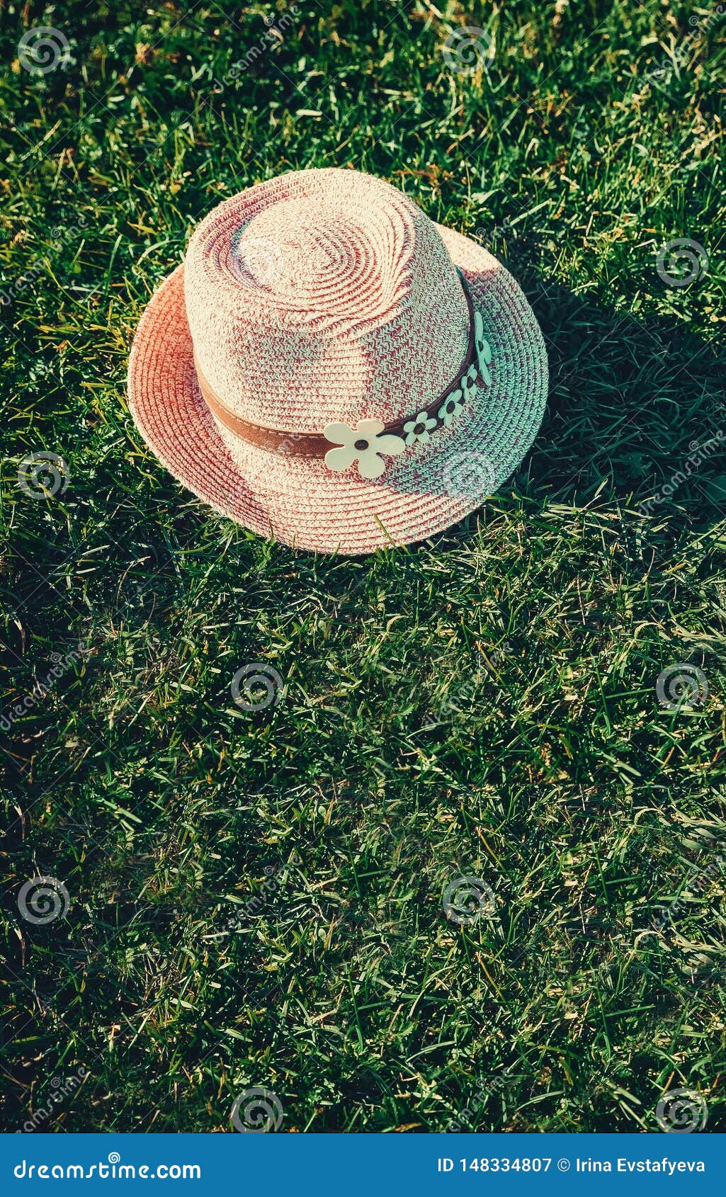 Summer Background Pink Sunhat on Grass. Pop Art Design, Creative ...