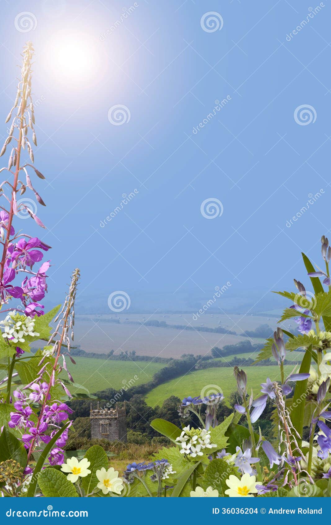 Summer Background With Wild Flowers Portrait Stock Photo Image
