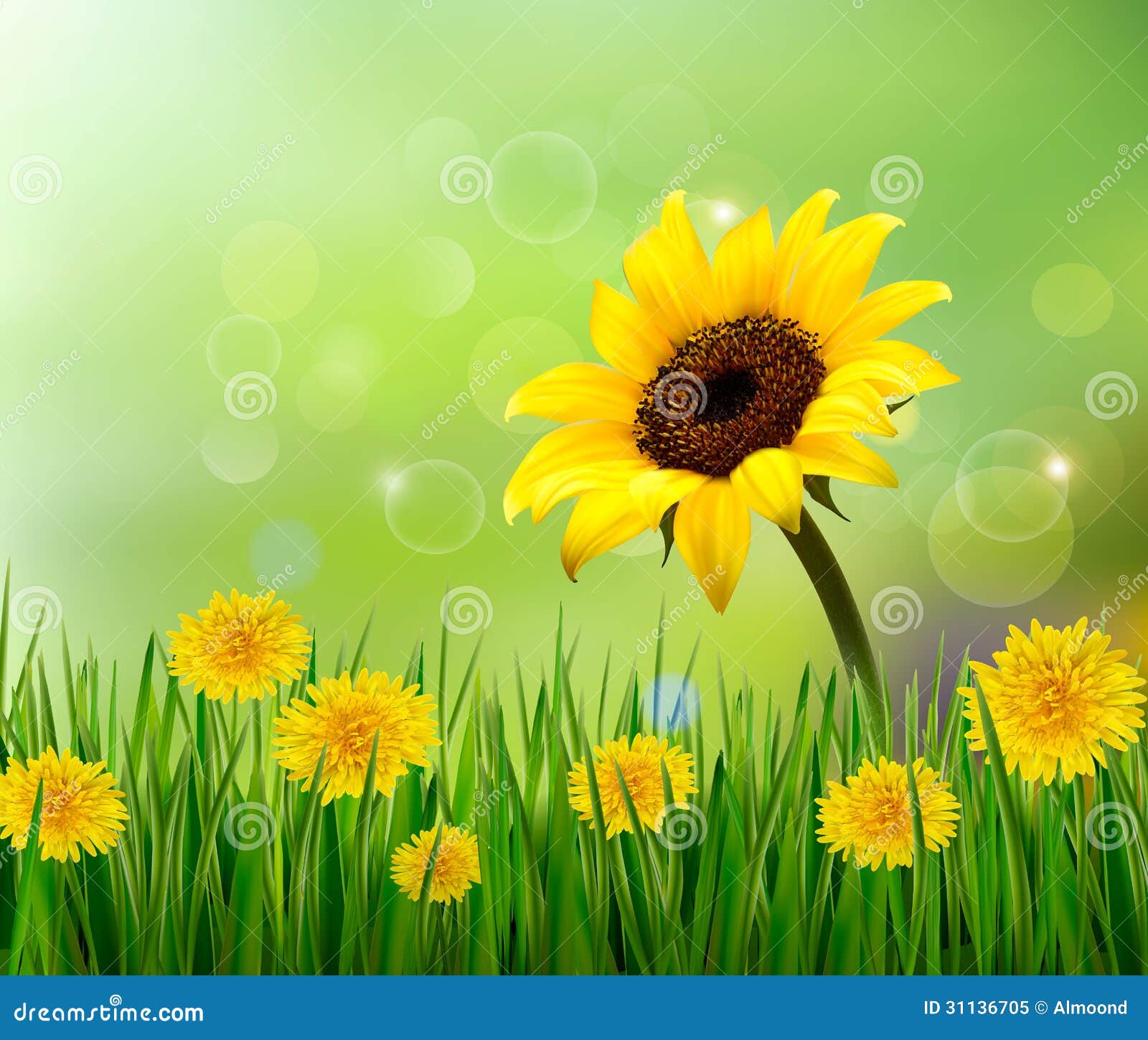 Summer Background with Yellow Flowers and Grass. Stock Vector -  Illustration of green, leaf: 31136705, image size:1600x1449