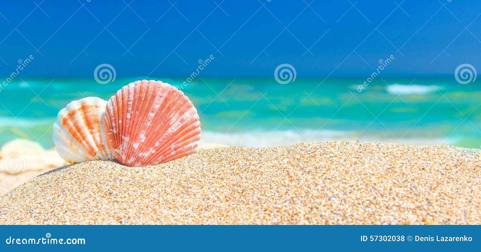 Summer Beach Backgrounds