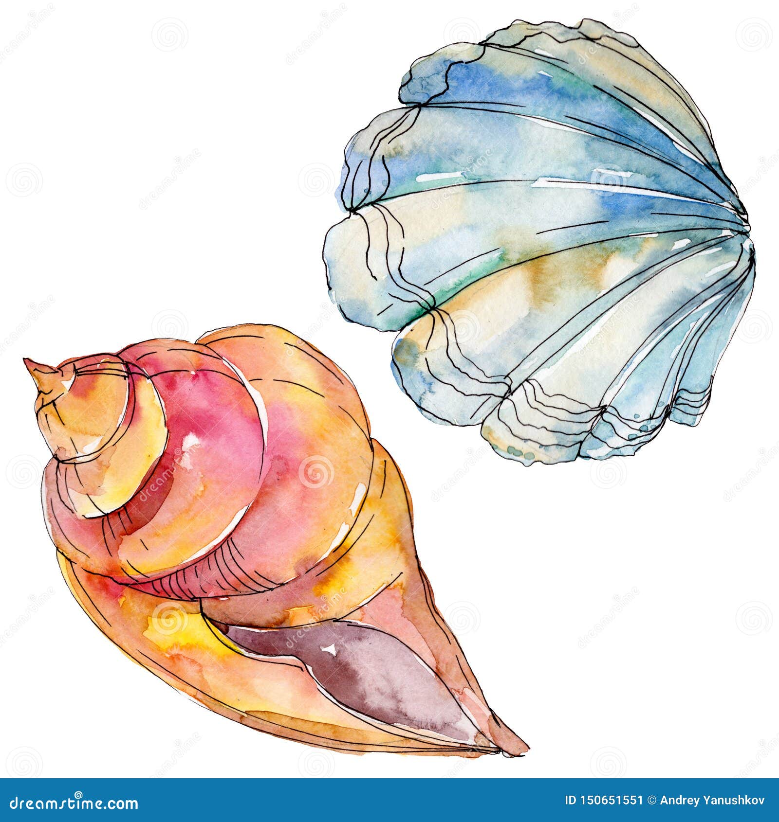 Blue Watercolour Illustration Artists Print A5 Coastal Wildflowers and Shells Art Print A4 or A3 Beach Seashells Poster