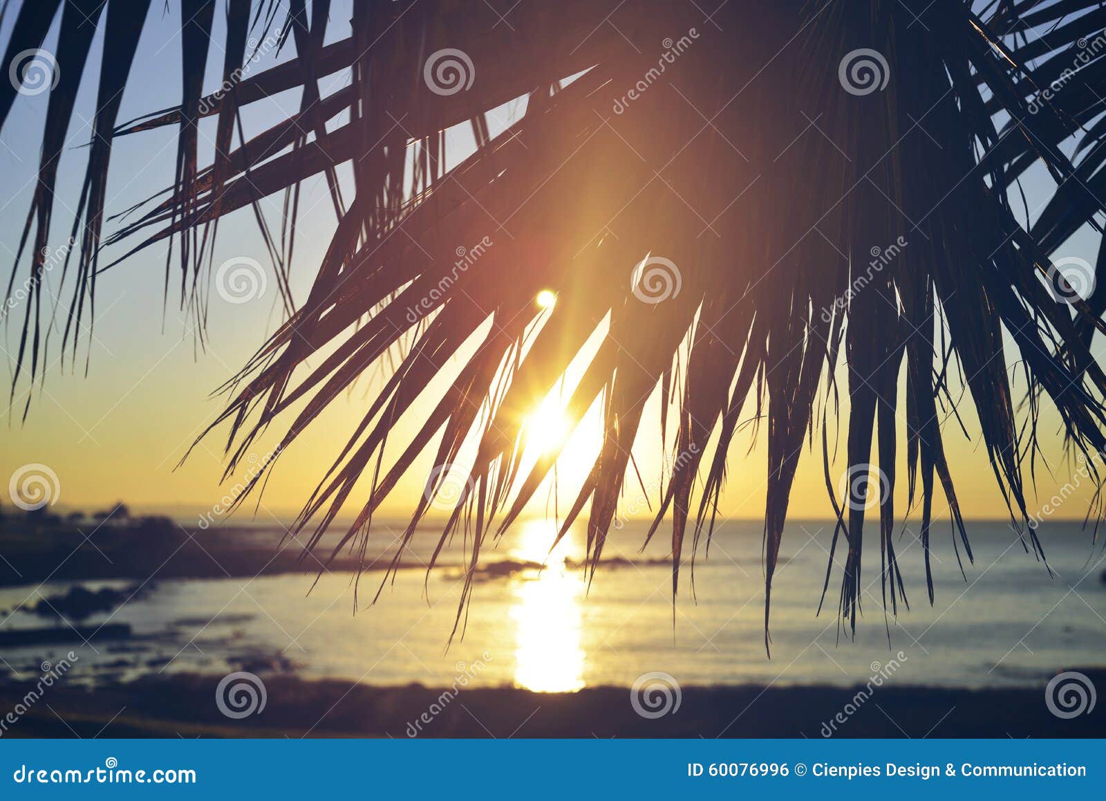Download Summer Beach Sunset Palm Tree Vintage Background Stock ...