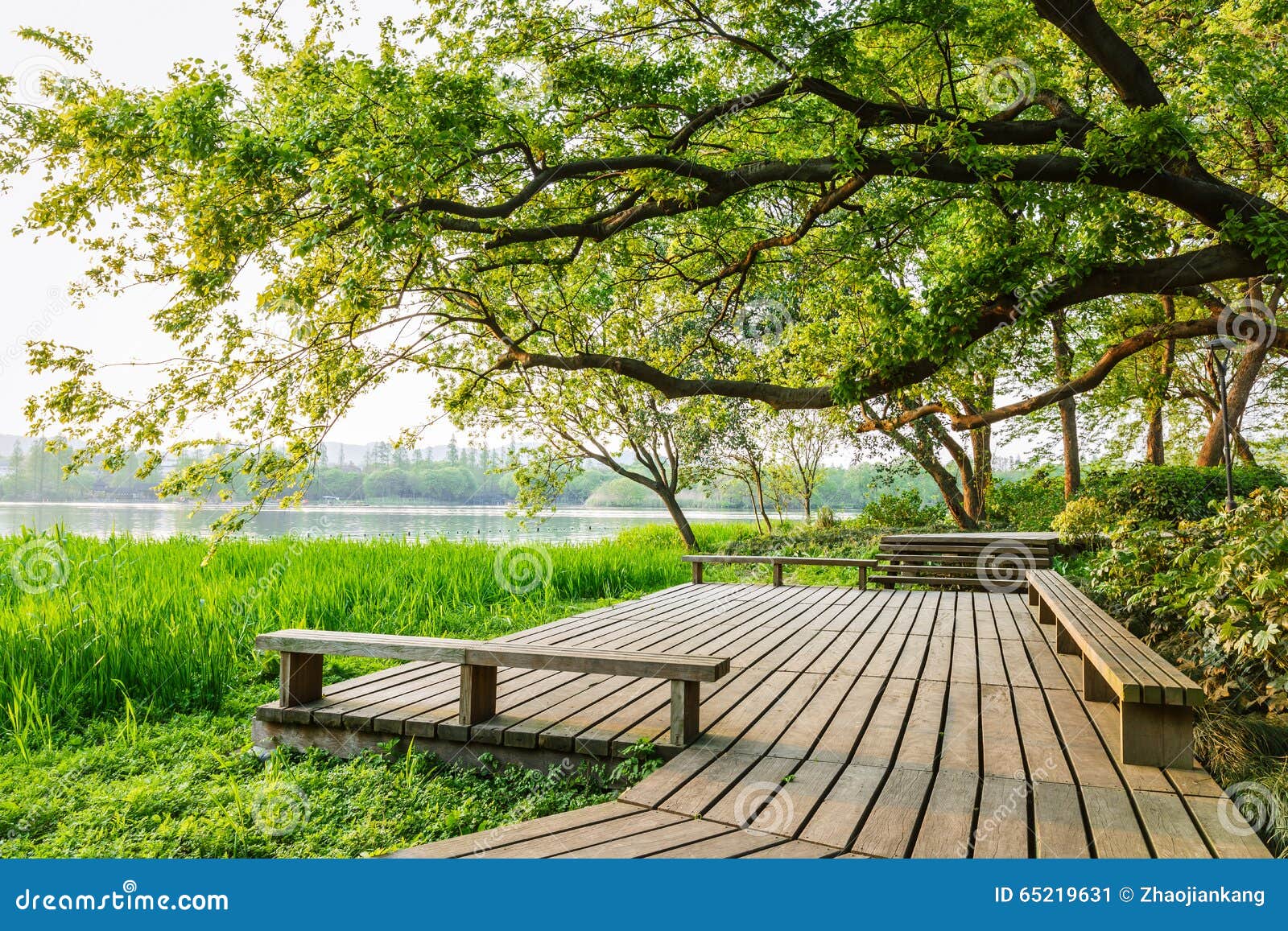 Summer Beautiful Natural Scenery Stock Image - Image of park ...