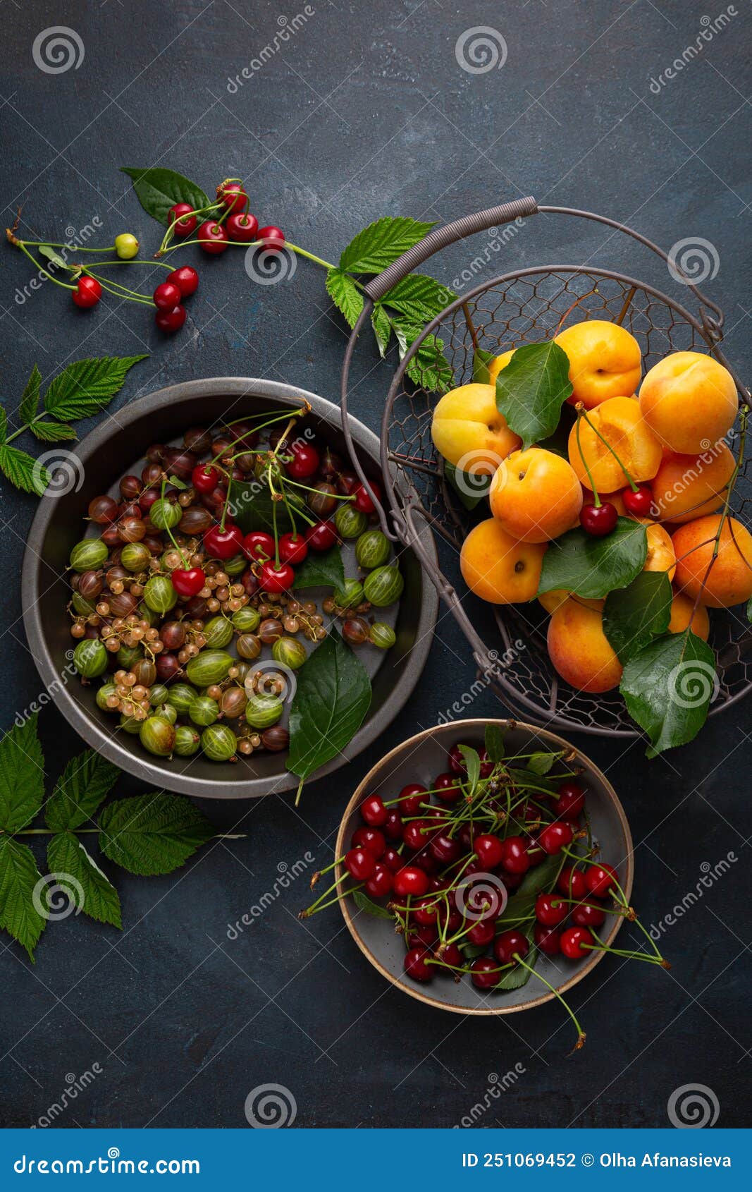 Summer Berries Cherry Apricots in Baking Dish Bowl Basket Stock Photo