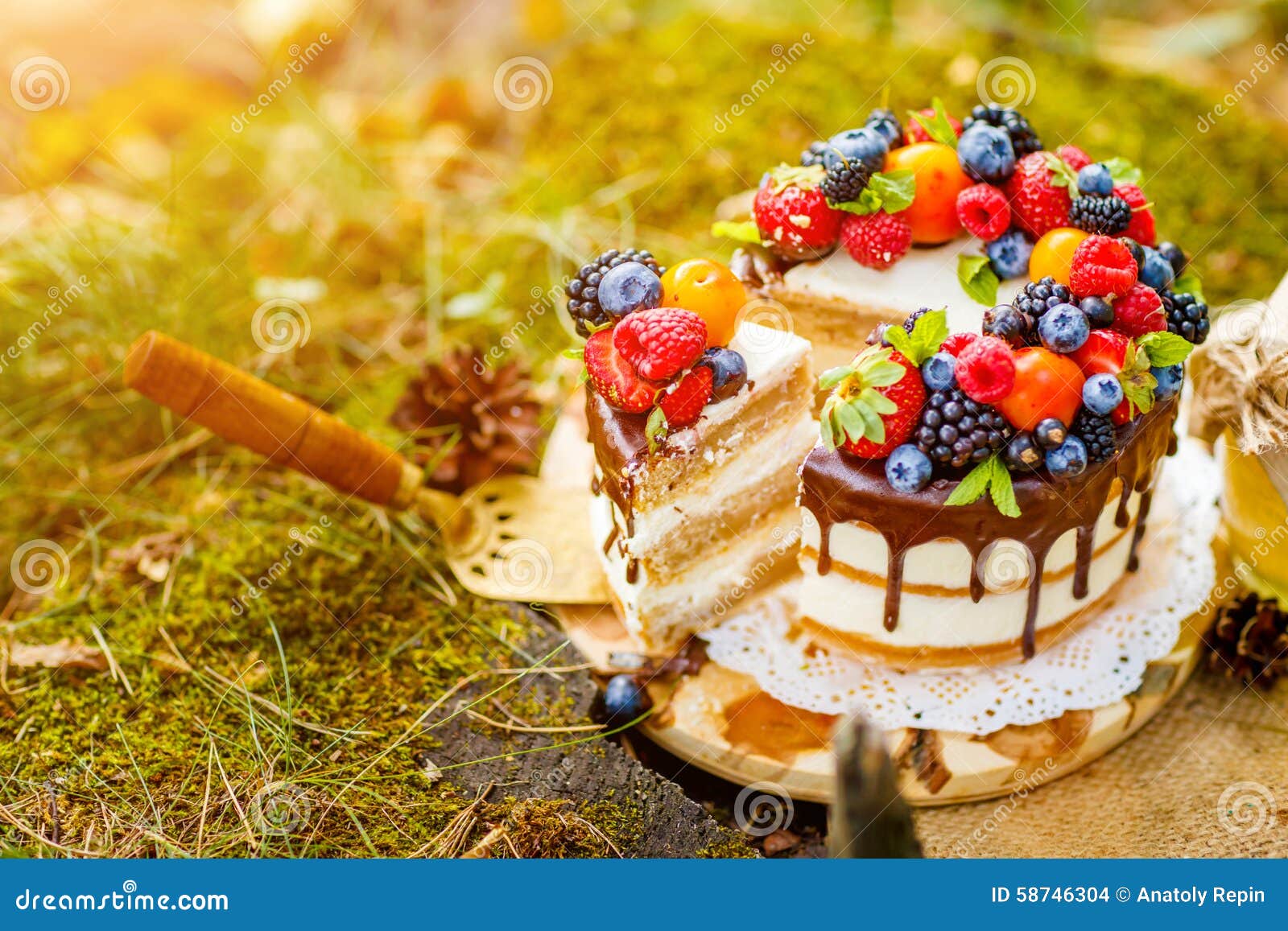Summer berry cake stock photo. Image of strawberry, chocolate 58746304