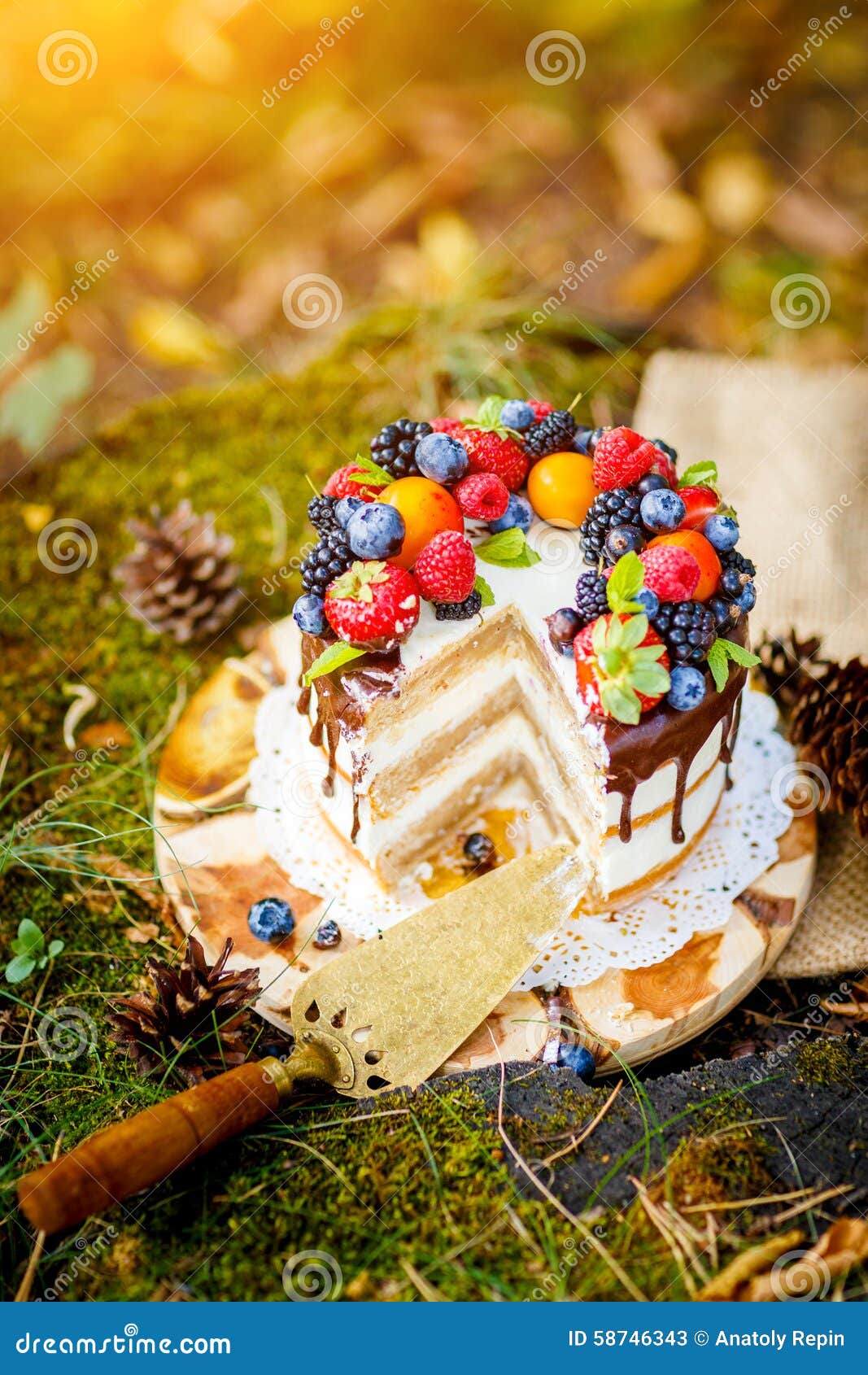 Summer berry cake stock image. Image of moss, stump, cake 58746343
