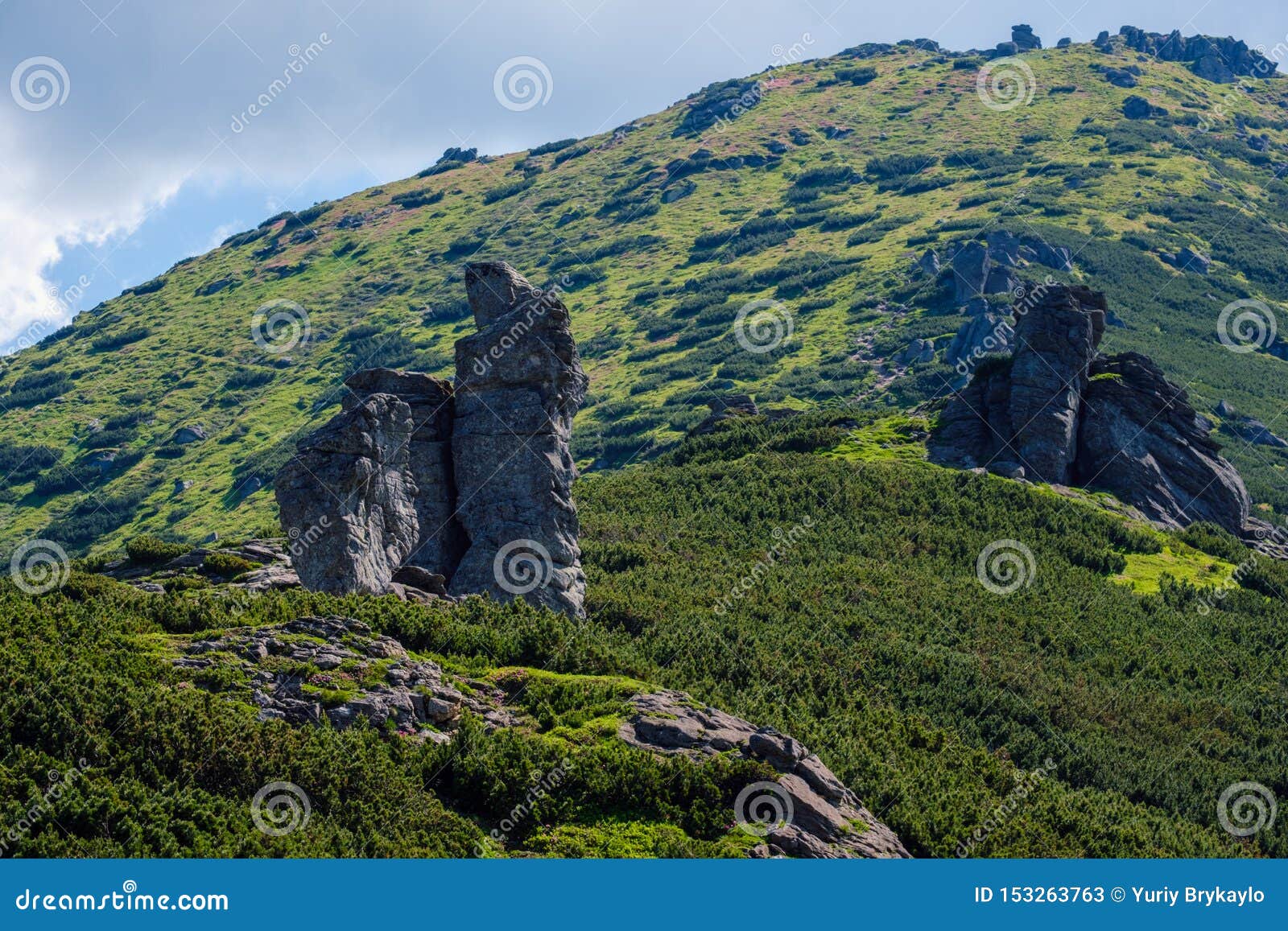 summer carpathian mountain landscape