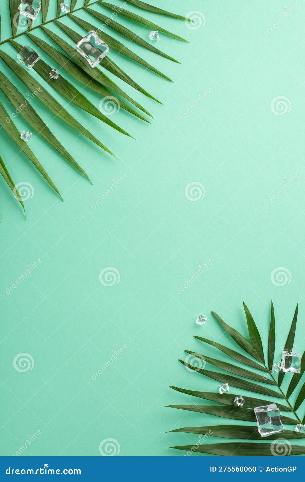 Top View Vertical Flat Lay of Green Palm Leaves with Ice Cubes on