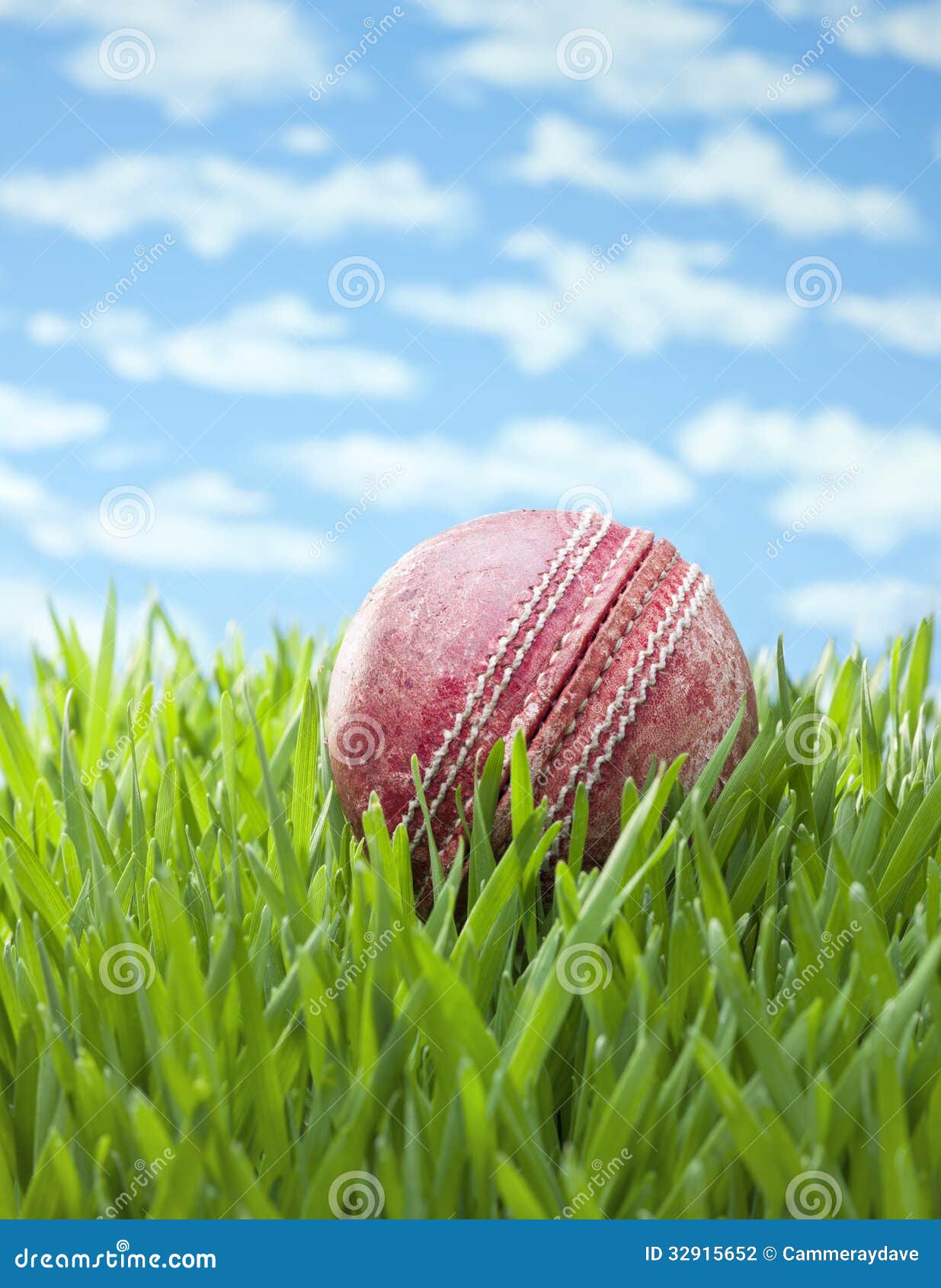 Sports Cricket Ball Grass Background Stock Photo