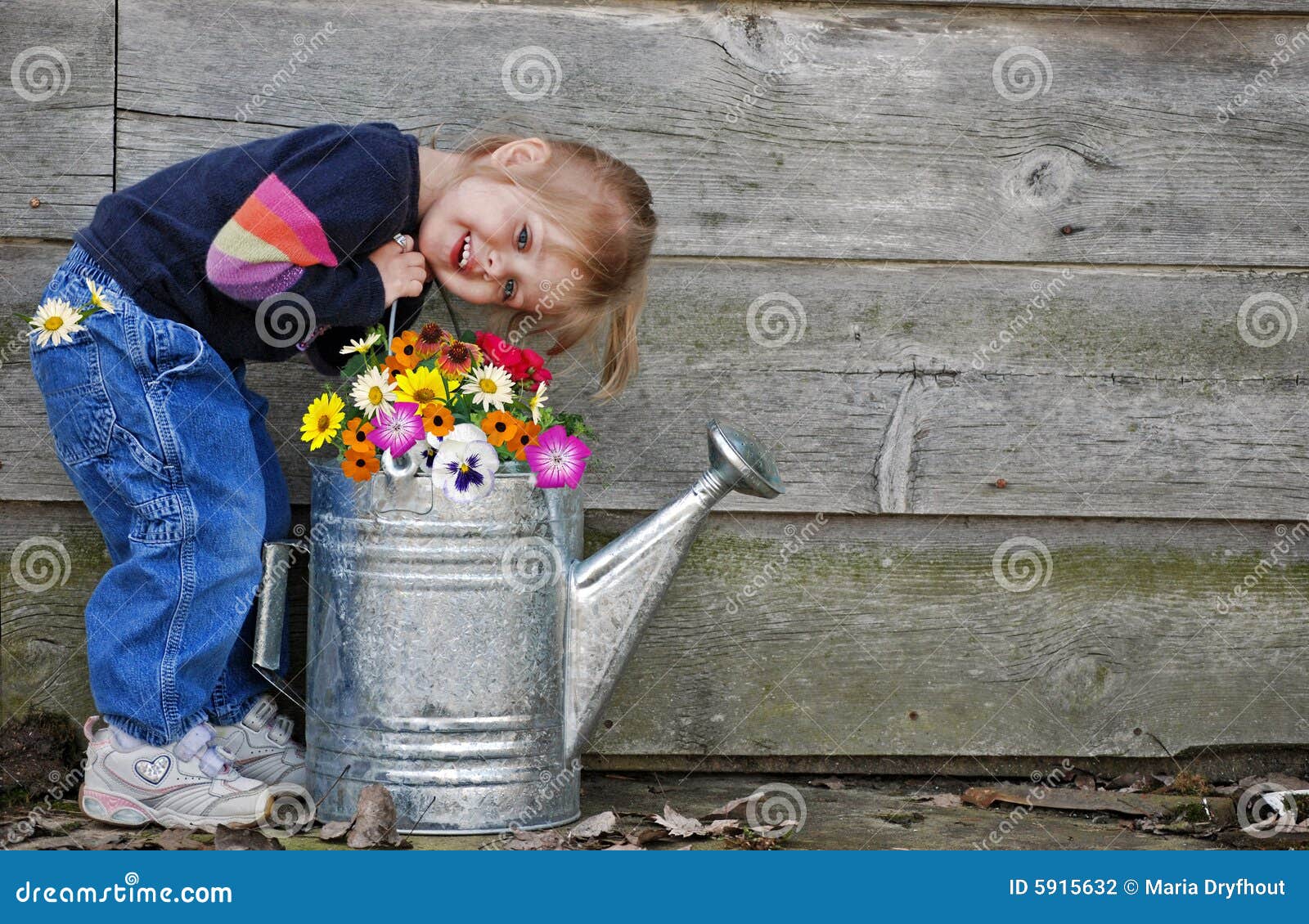 Little Girl with Watering Can Stock Photo Image of natural, nature 5915632