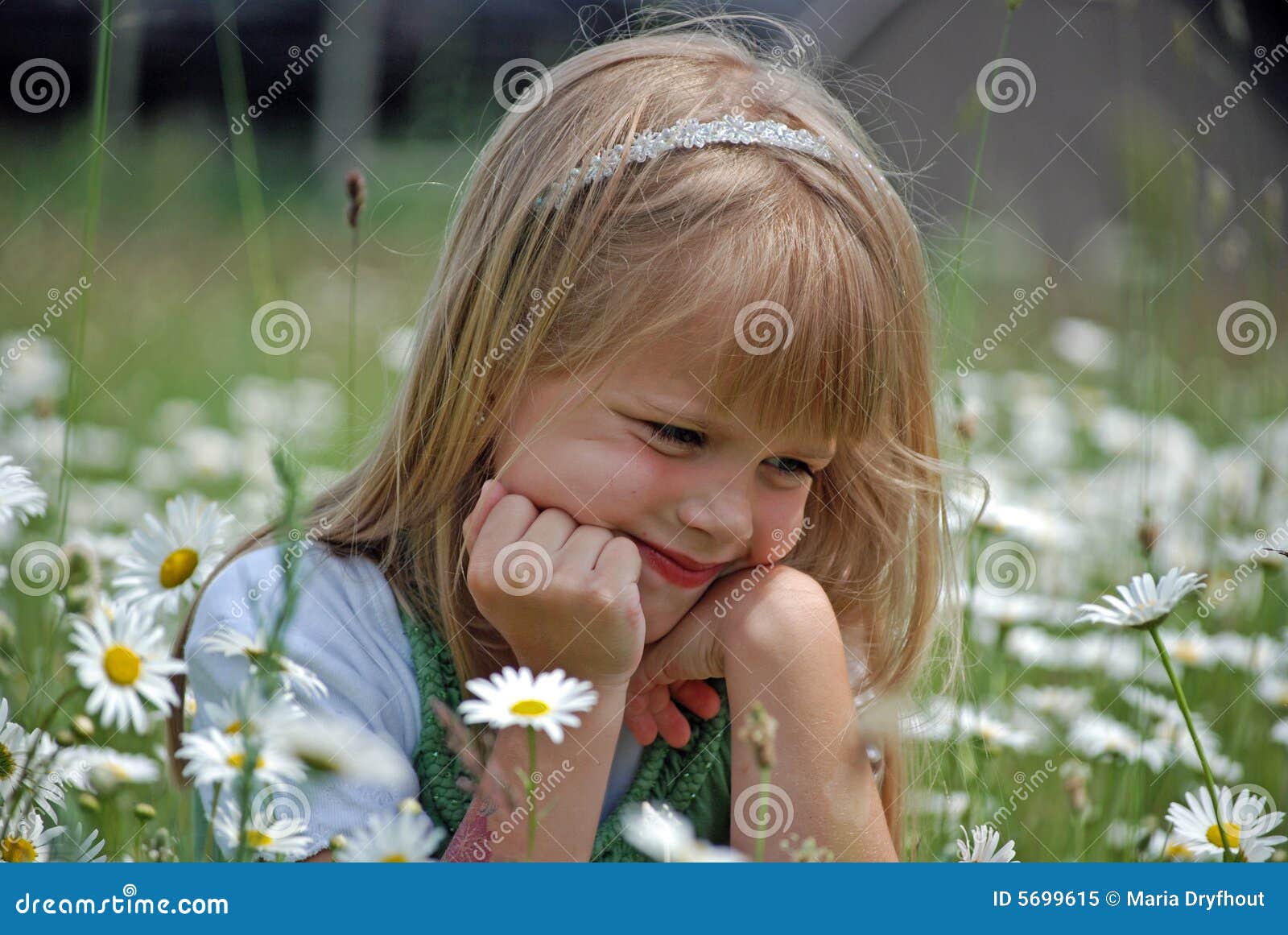 Summer Dreams stock image. Image of caucasian, field, hair - 5699615