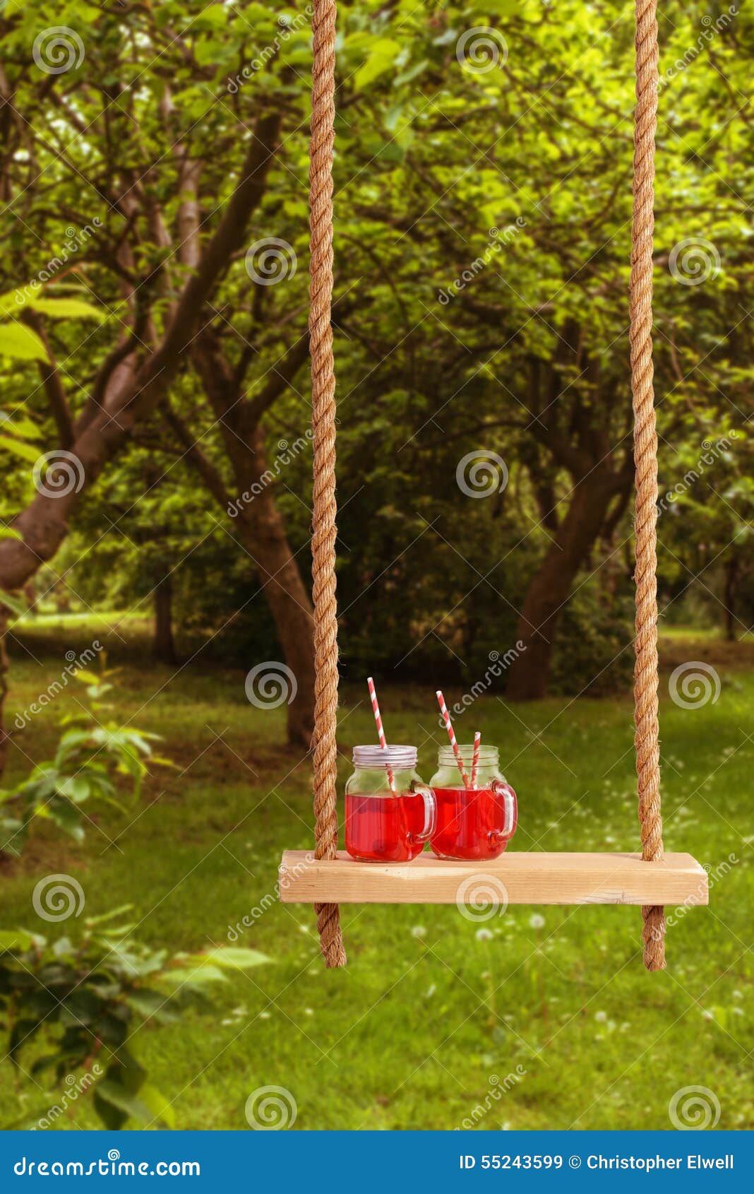 Summer Drinks on Swing stock image. Image of beverages 55243599