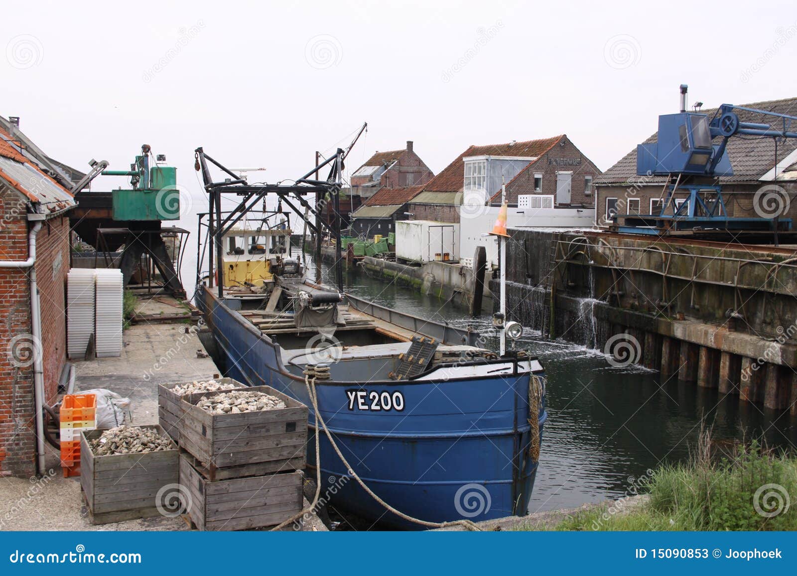 summer in the dutch province of zeeland in holland