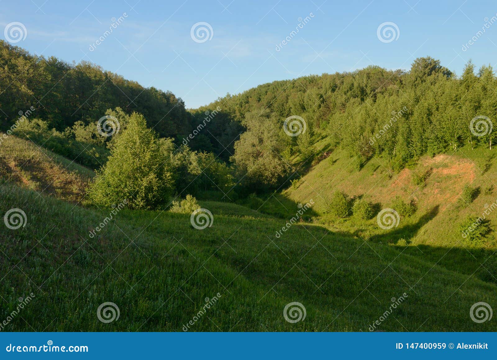 summer evening landscape with green forest on the hillsides