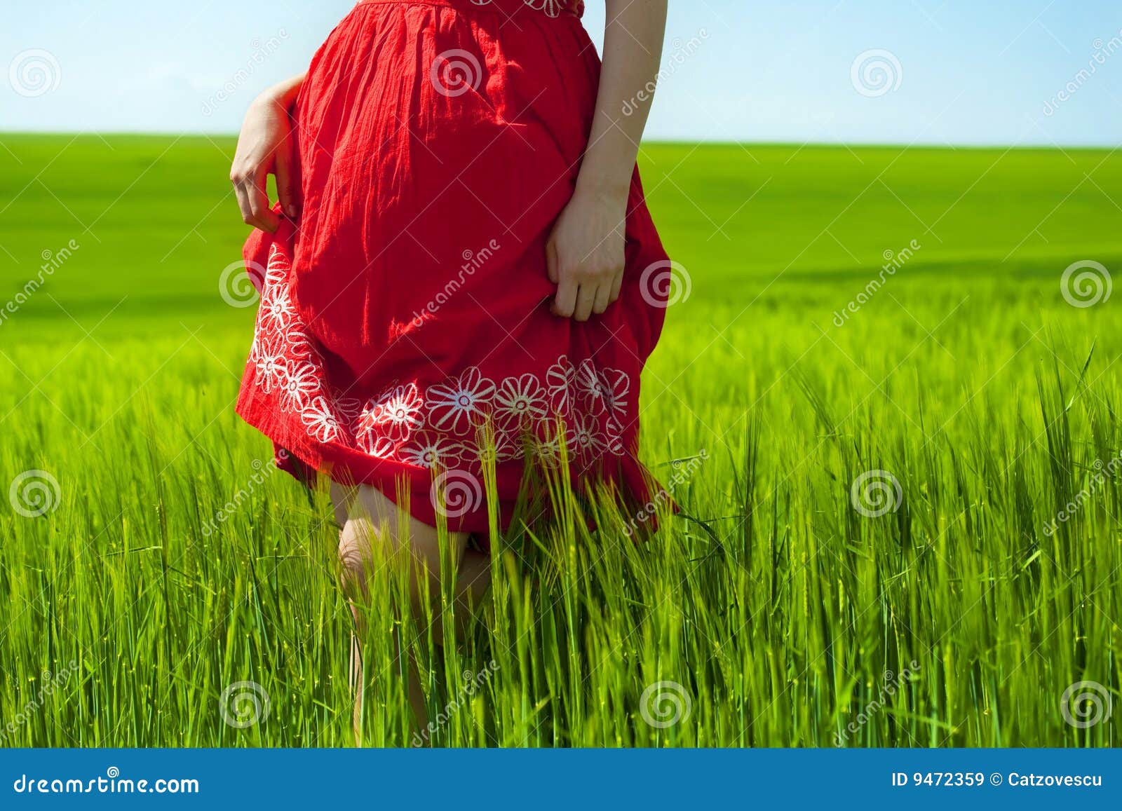 Summer feeling stock image. Image of enjoy, lower, barley - 9472359