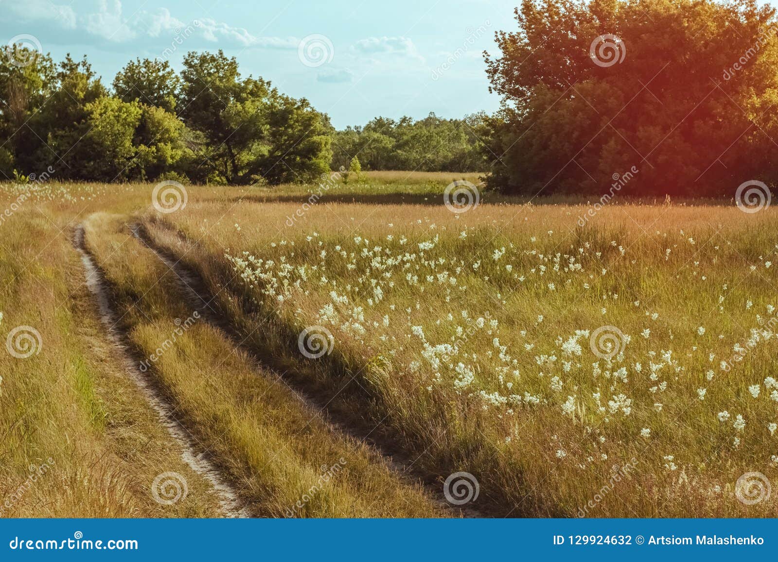 Summer Landscape With A Country Road In The Field Stock Photo Image