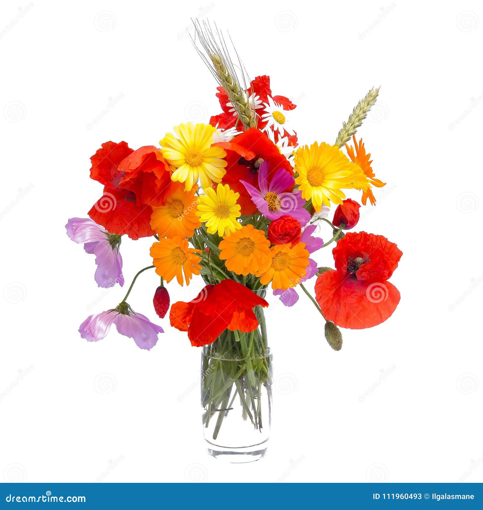 Summer Flower Bouquet , White Background Stock Image - Image of