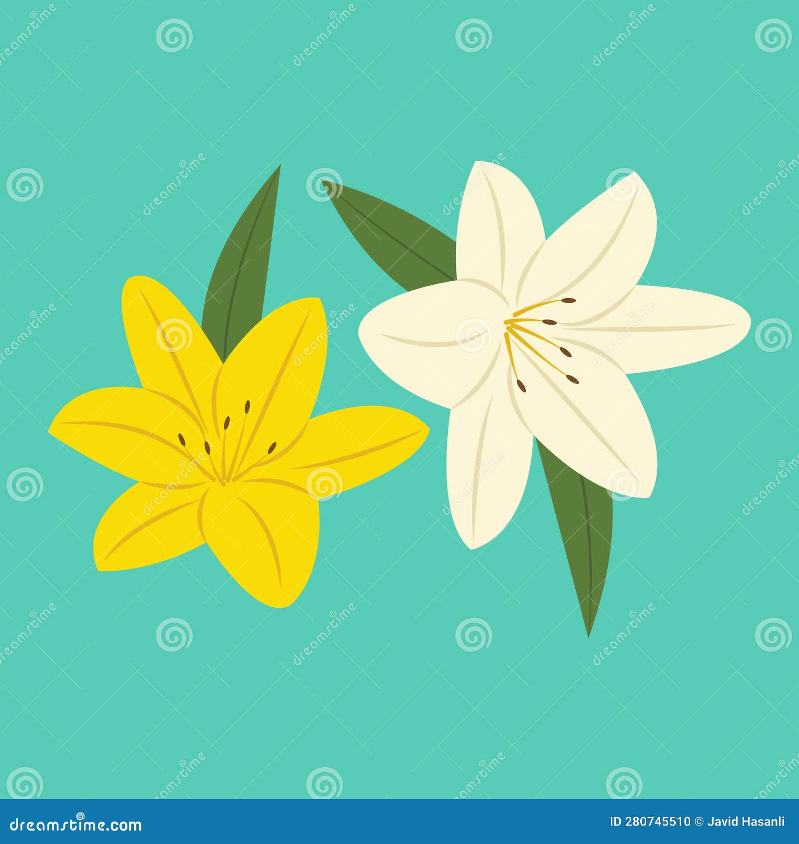 Summer Flower of Laos or Lilium Vector Illustration Stock Vector