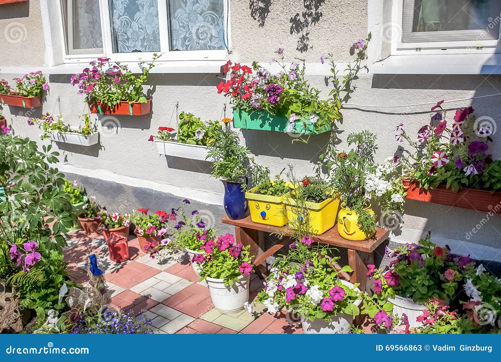 Summer Flowers in a Pot on the Windowsill Outside Stock Image Image
