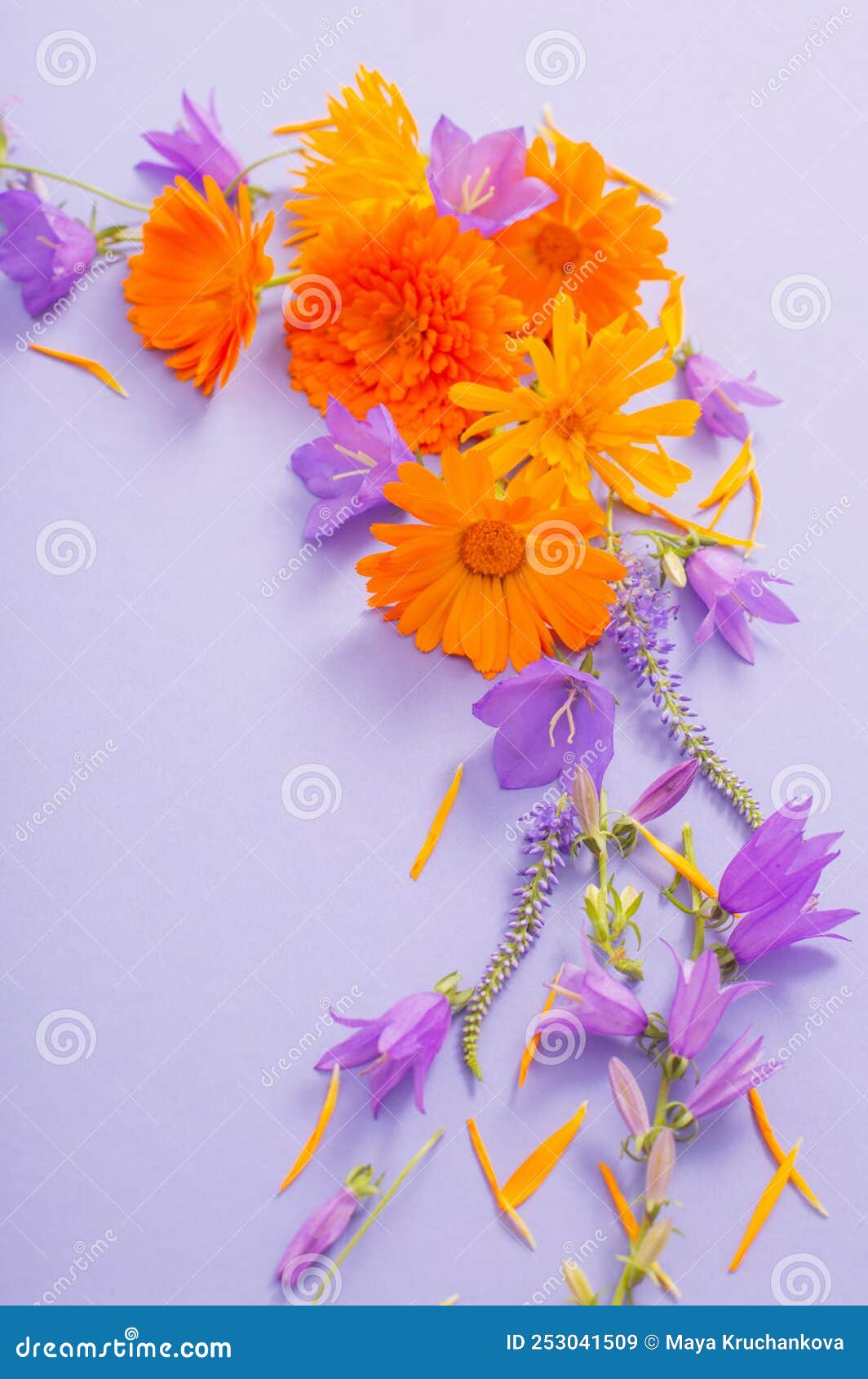 Summer Flowers on Violet Paper Background Stock Image Image of