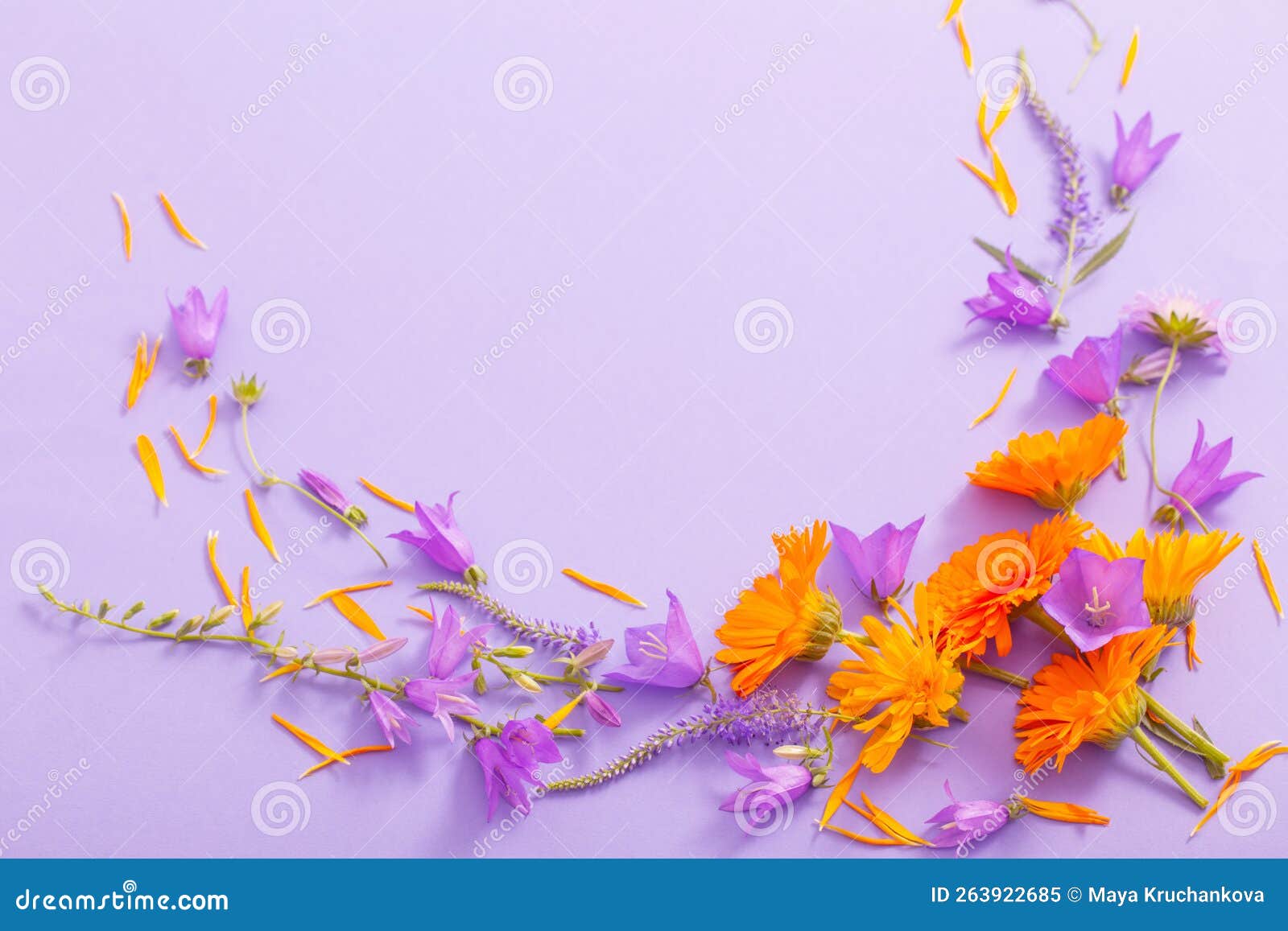 Summer Flowers on Violet Paper Background Stock Image Image of lilac