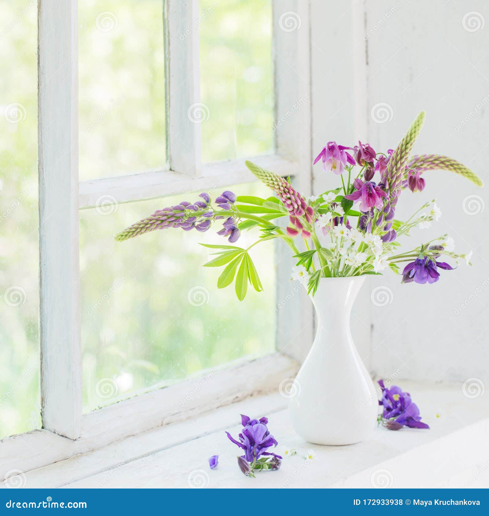 Summer Flowers on White Windowsill Stock Photo Image of columbine