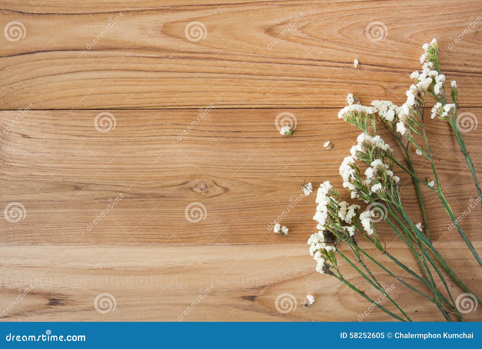 Summer Flowers on Wood Texture Background with Copyspace Stock Image
