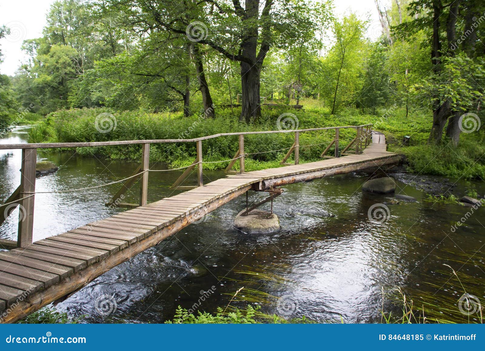 summer forest landscape witht he wooden bridge